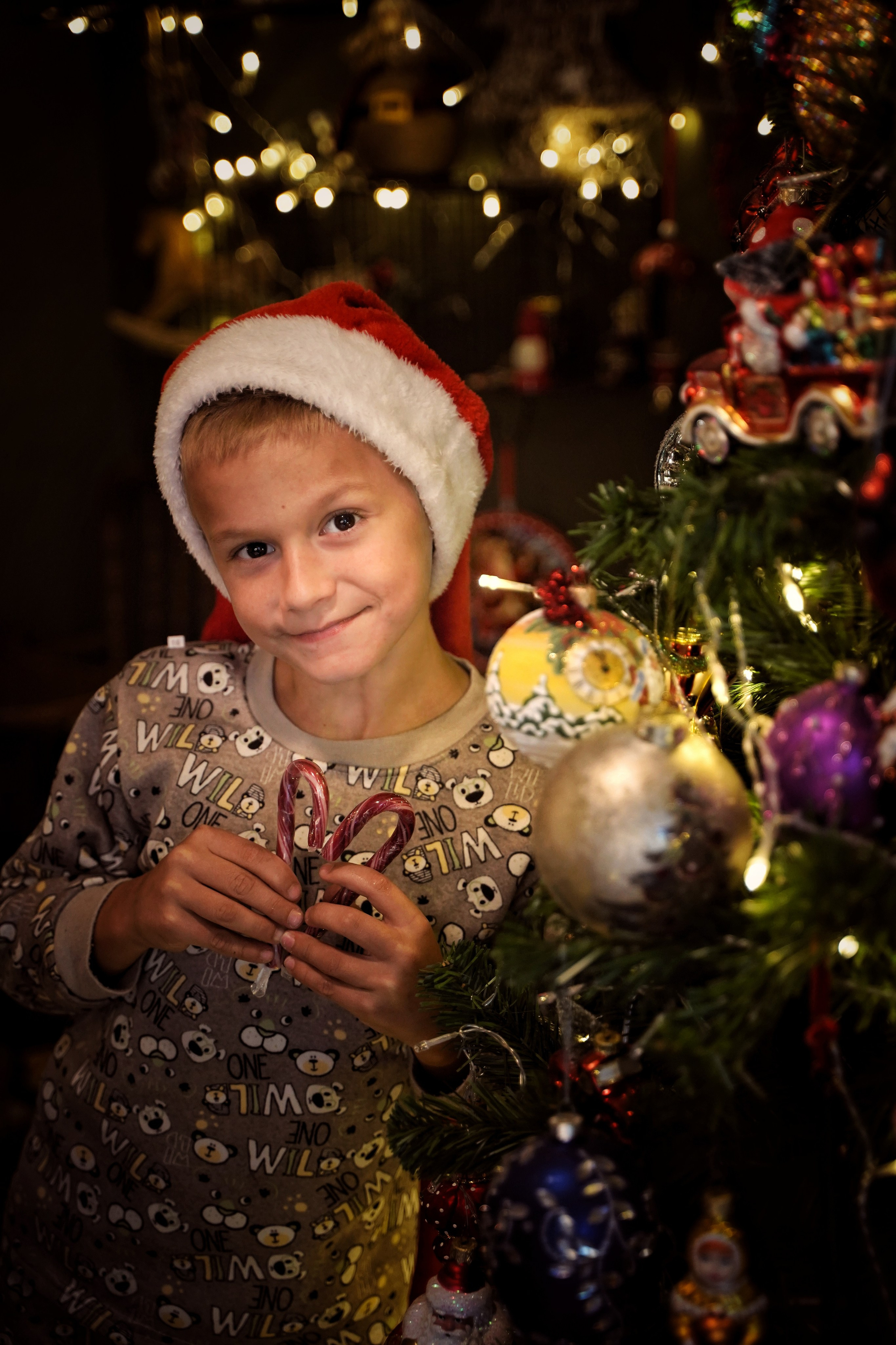 Эльфы. Фотограф. Визуал. Хайфа. Талья Цветкова