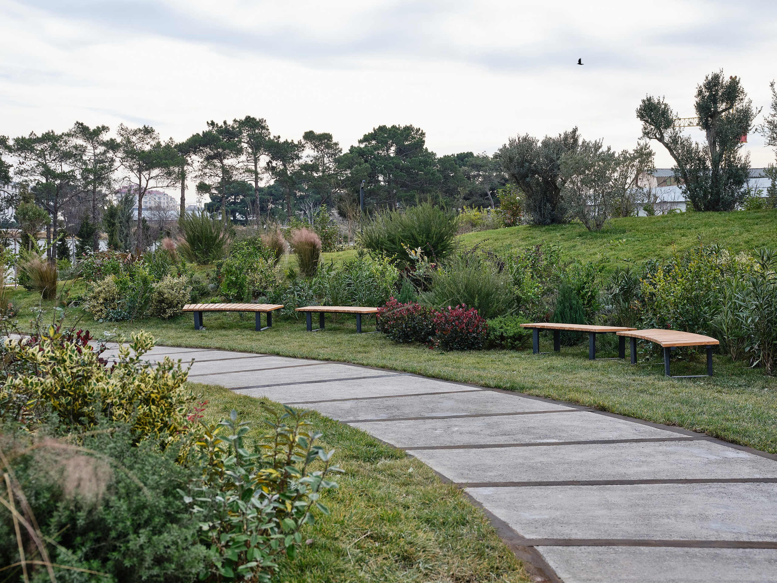 Alatava park. Elmar Mustafazadeh Photography