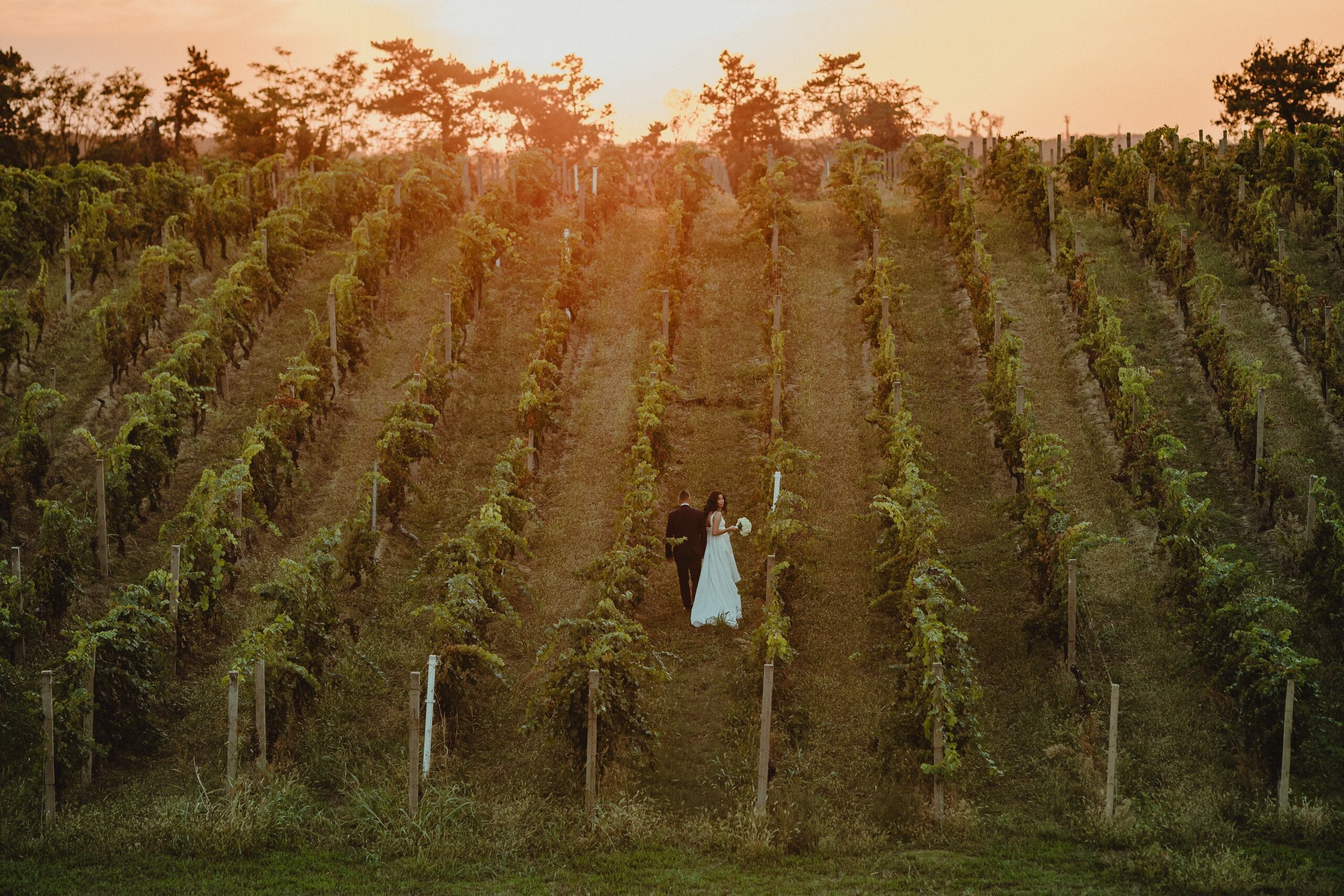 Portfolio. Wedding photographer based in Novi Sad, Marko Milivojevic