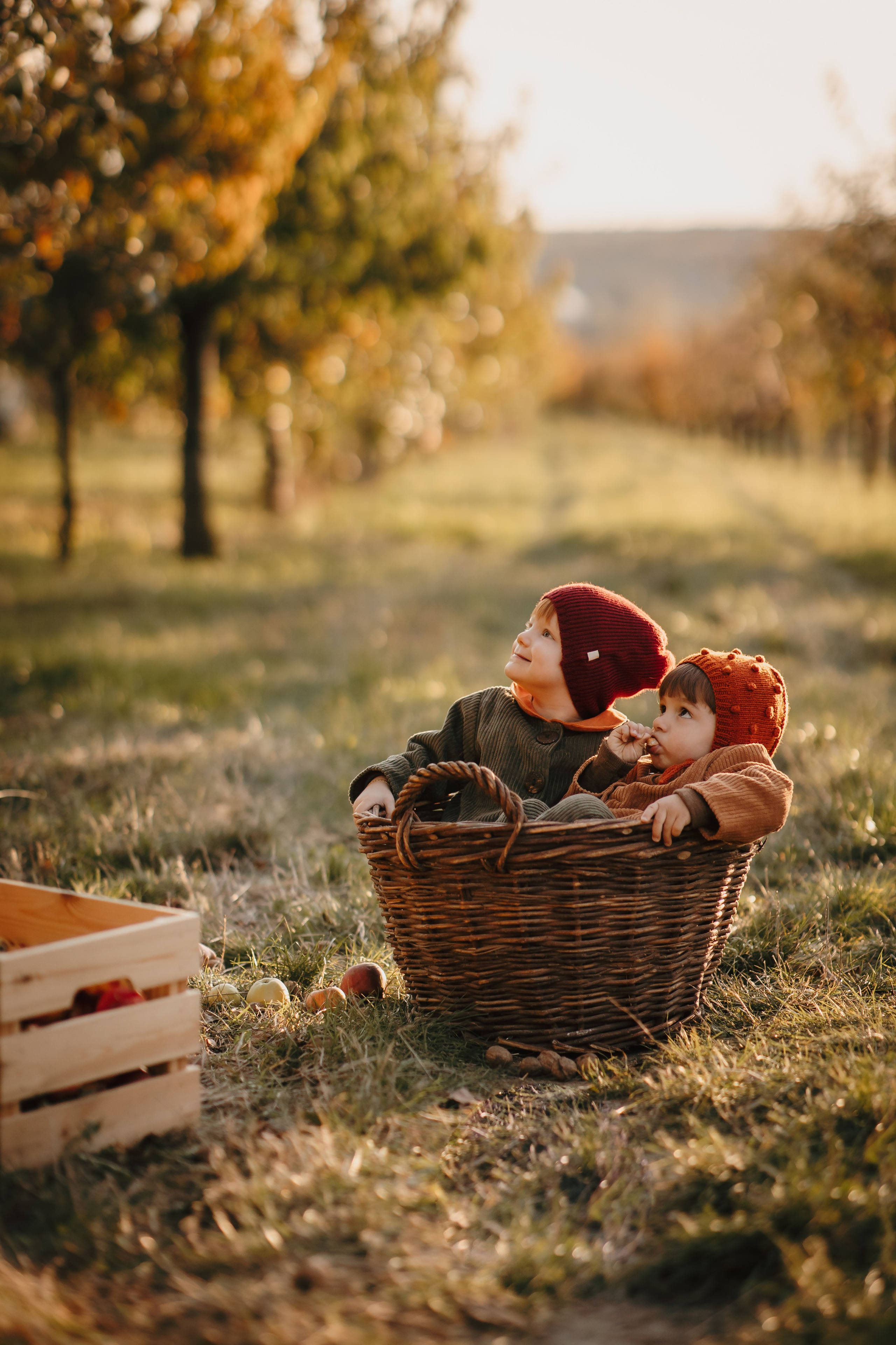 Toamna in livada. Fotograf de eveniment din Buzău | Bogdan
