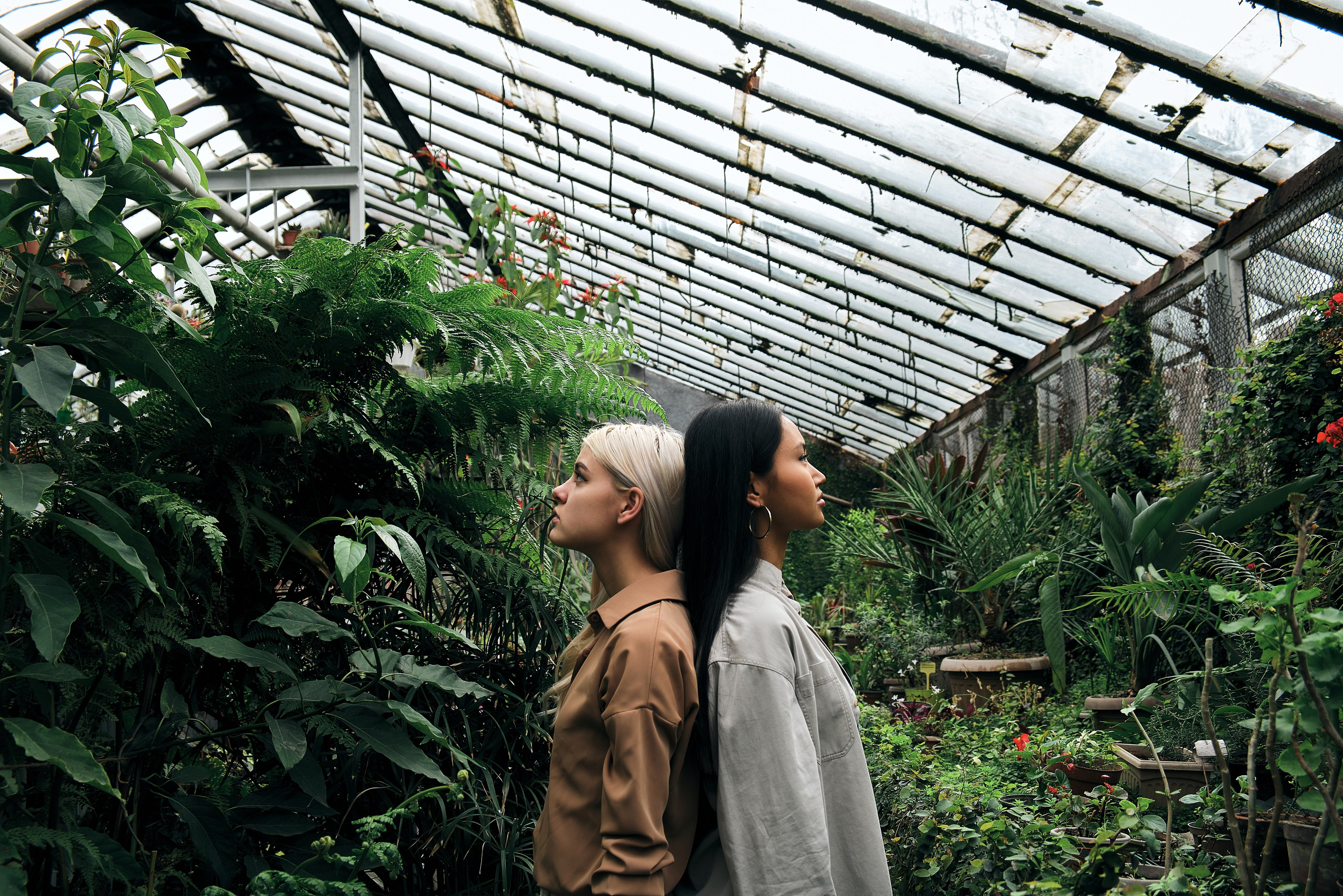 Potrait. The Photographer