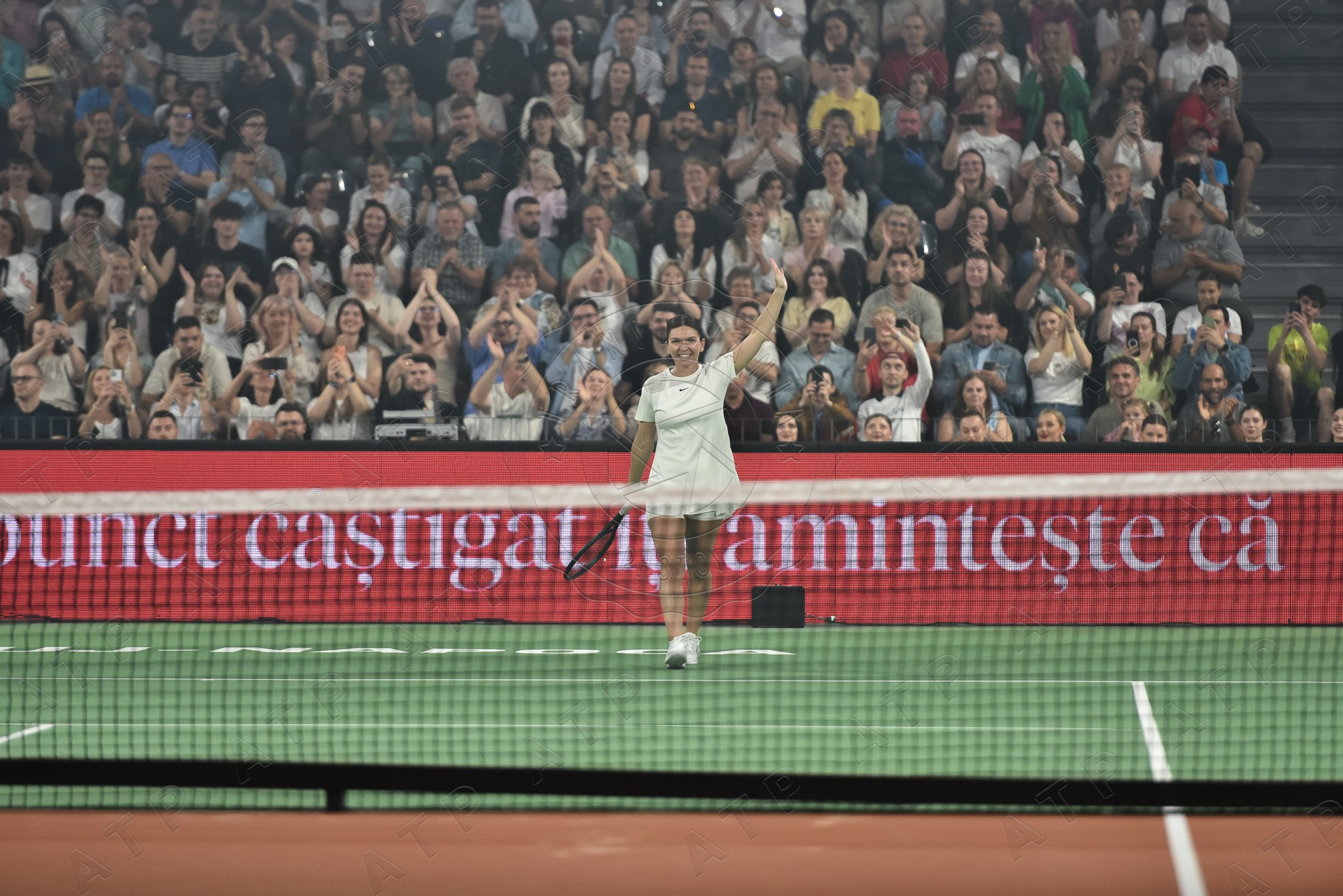 Tenis. Vescan Pictures - fotografie de eveniment