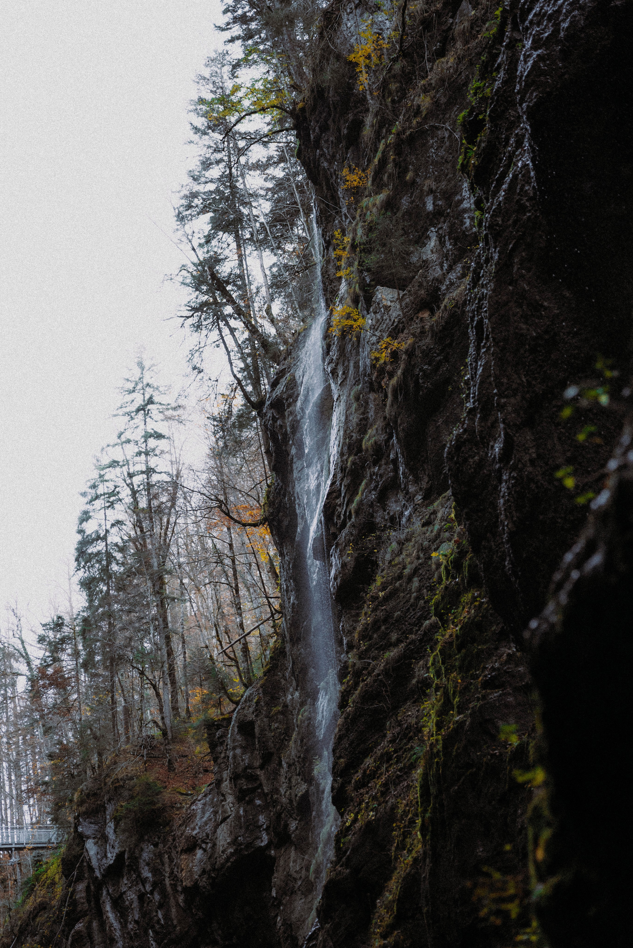 ЕВРОТУР. Стрит-фотография, полная абсурда, идиотизма и красоты