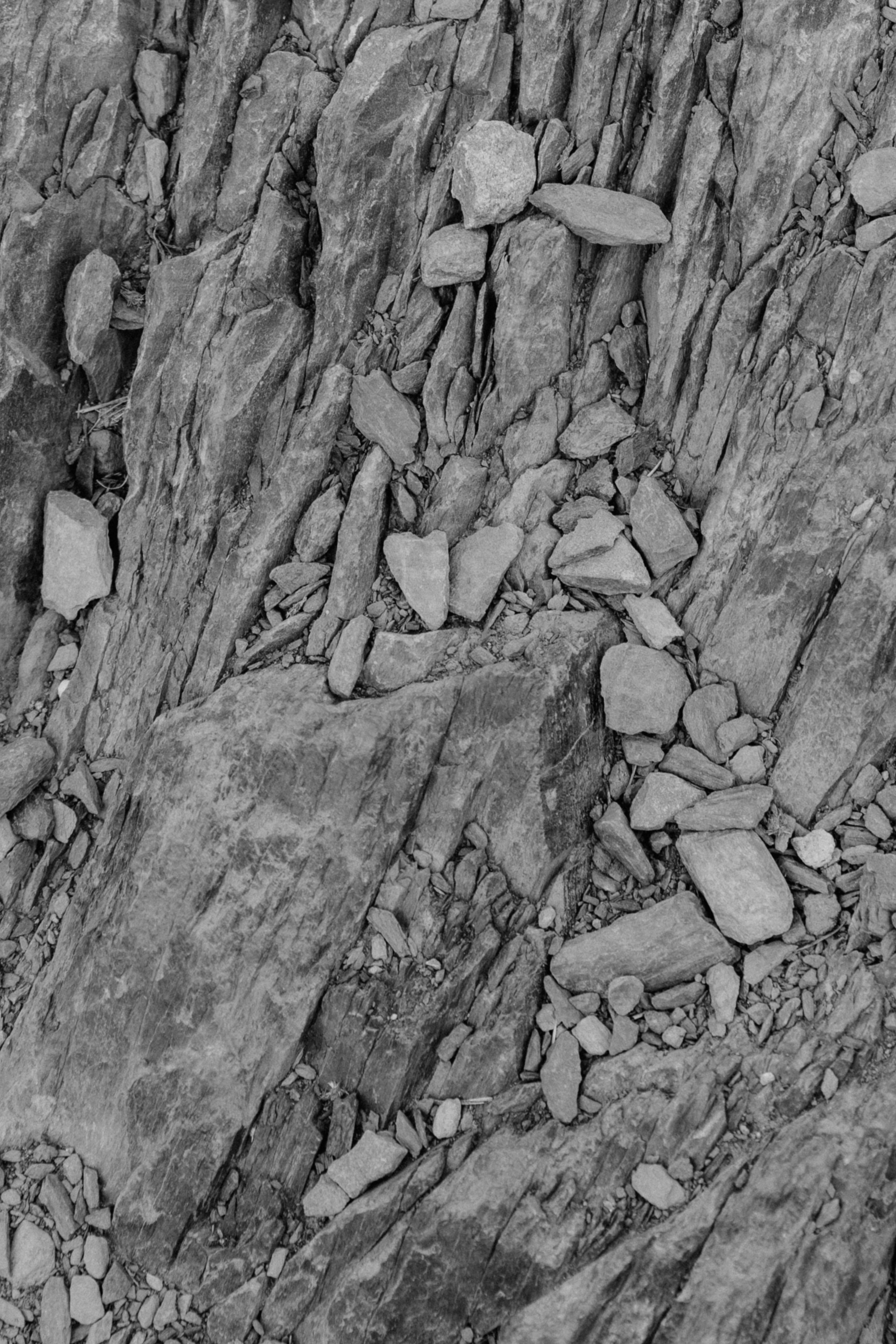 Angelina & Ilya. Photographer Anna Nazarenko