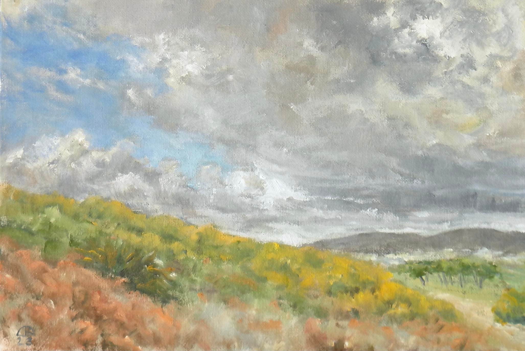 20 X 30, lienzo sobre cartón óleo