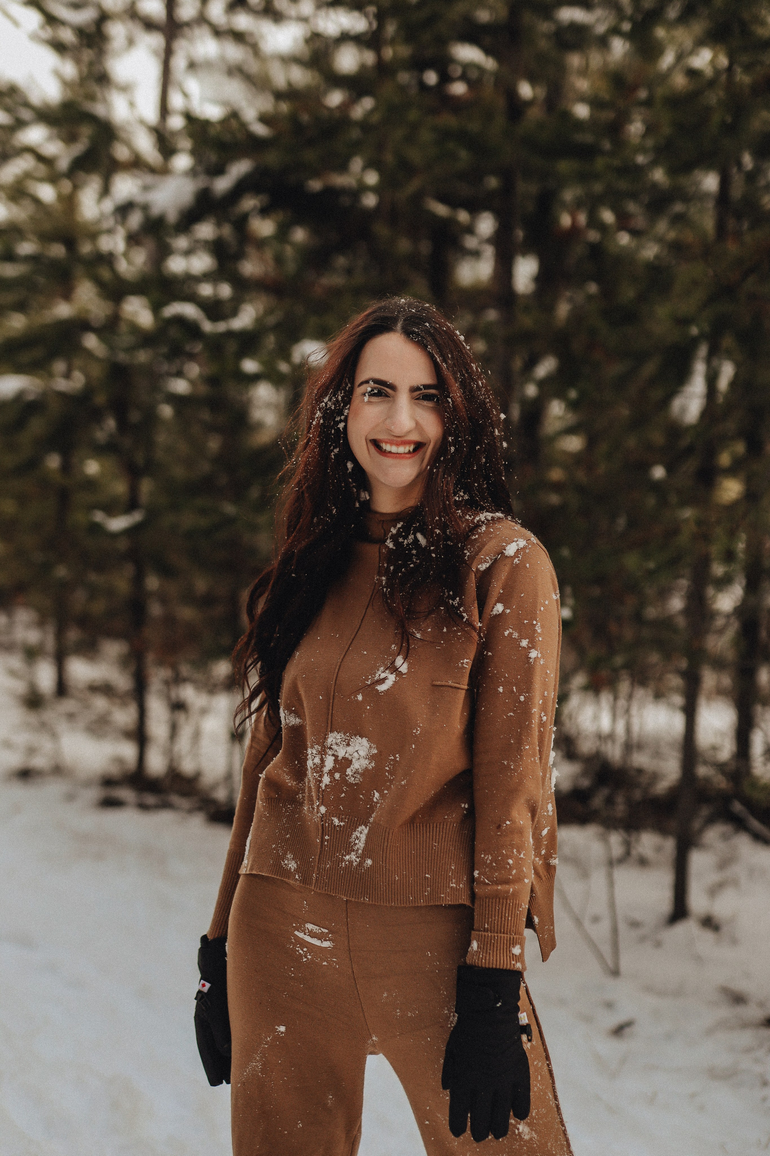 Christmas minis. Ellen Litvinova photography