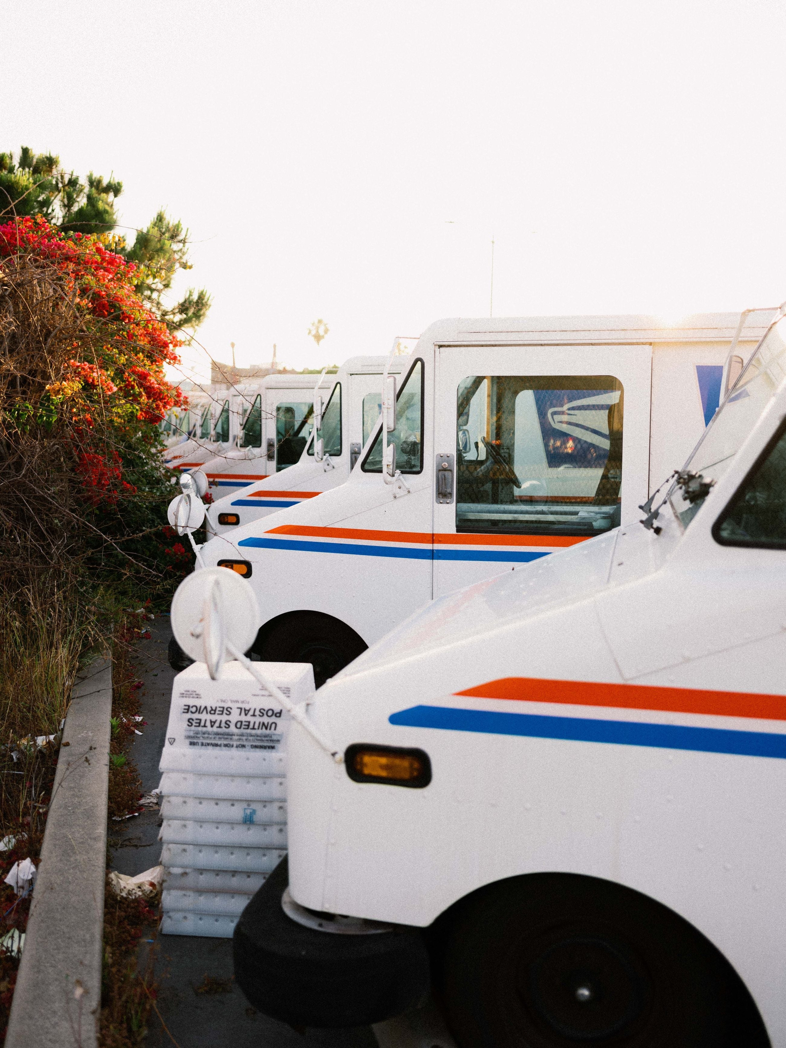 KODAK PRESETS. Fotógrafo de Casamento espontâneo em Belo Horizonte MG| Bittencourt Frames