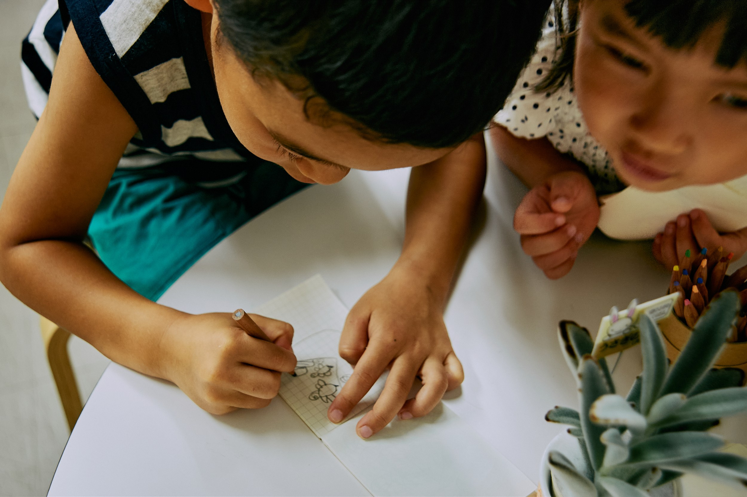 ライブ刺しゅうがやってきた ! !. MT
