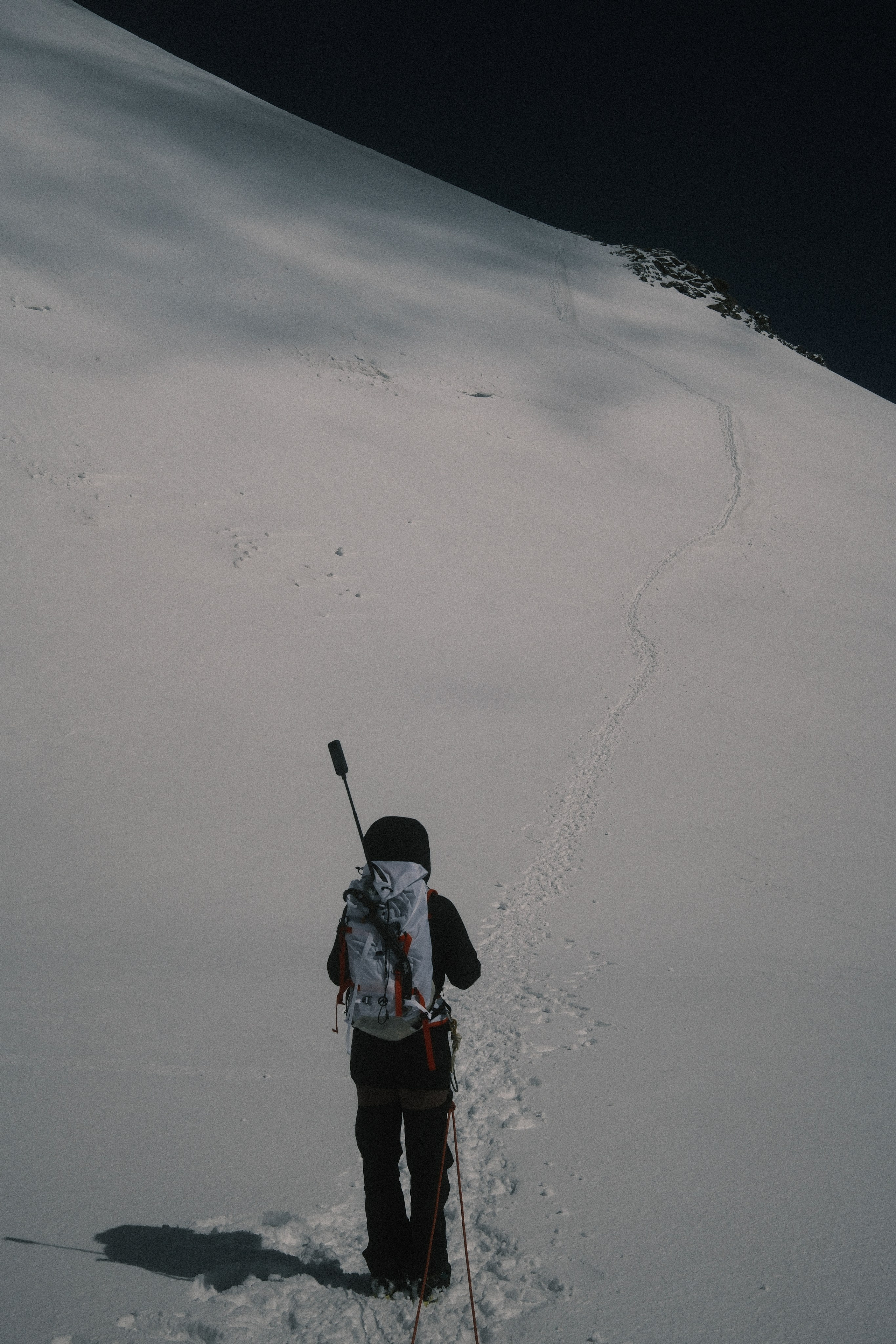 Castor. Patricia Morenci — Mountain Adventures for the Wild at Heart