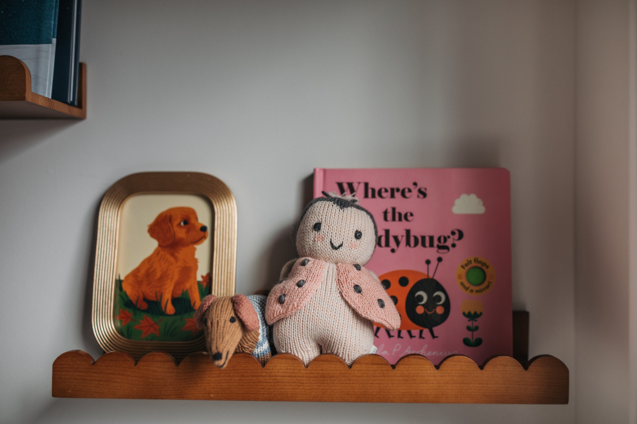 Megna, Amish and Sona. Love Through Photo