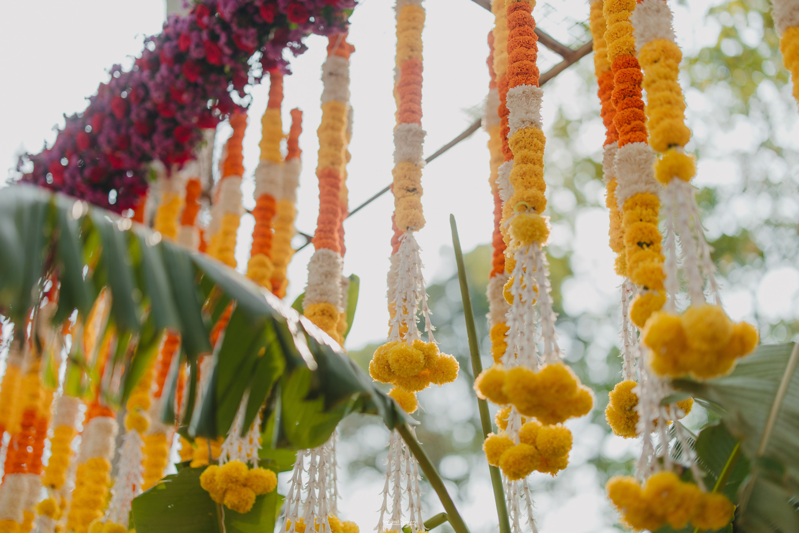 When He Finally Asked… She Just Said “Ha.” | Shreyanka & Kiran | Engagement