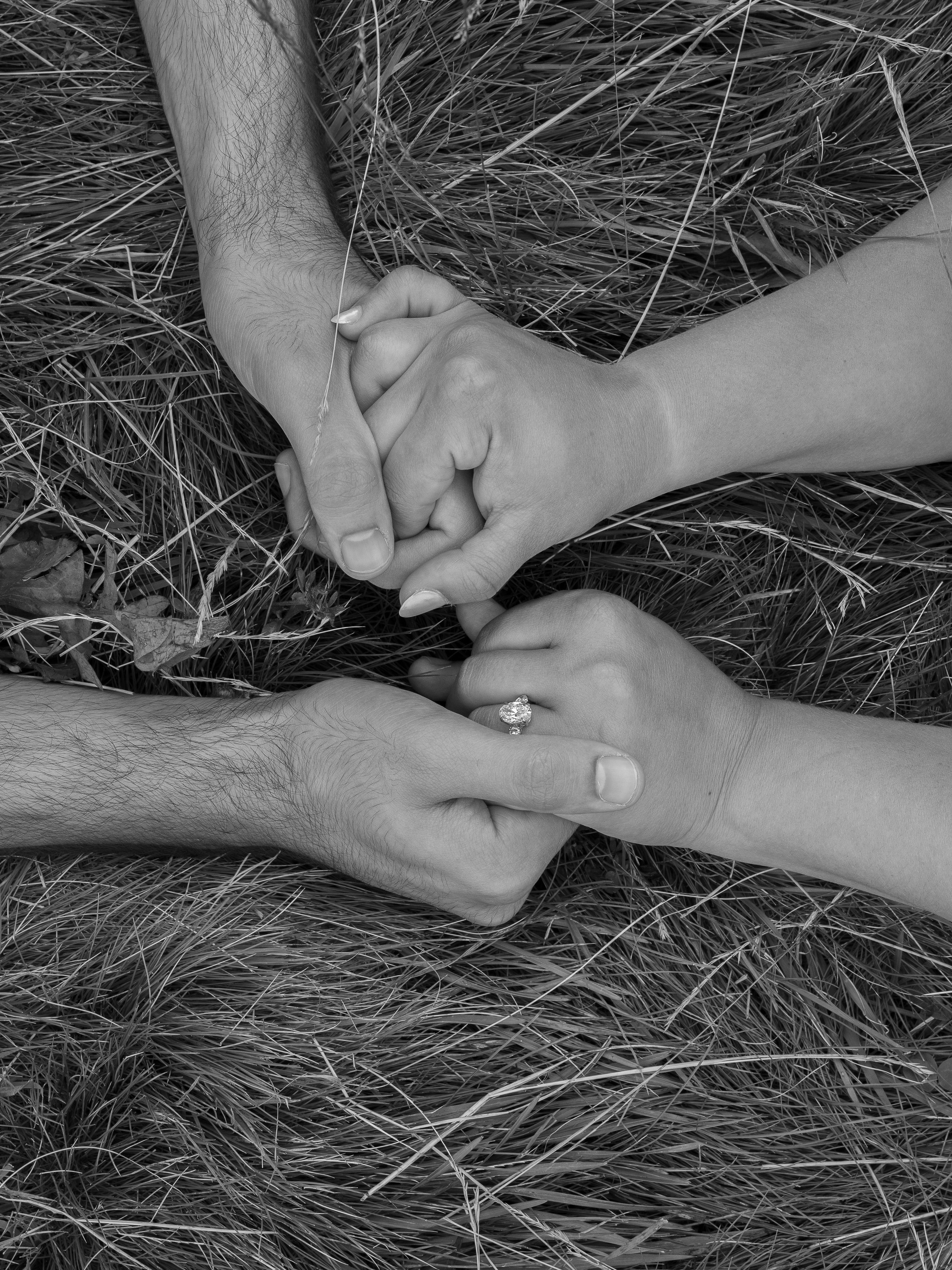 Proposal, Alpe di Siusi, the Dolomites