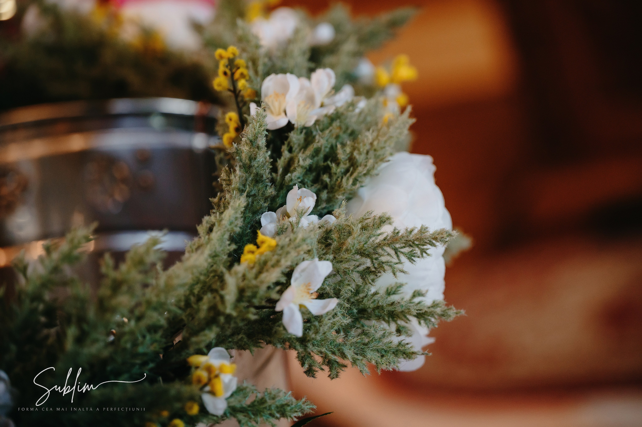 Sublim. Laurentiu Stefan StoryTeller