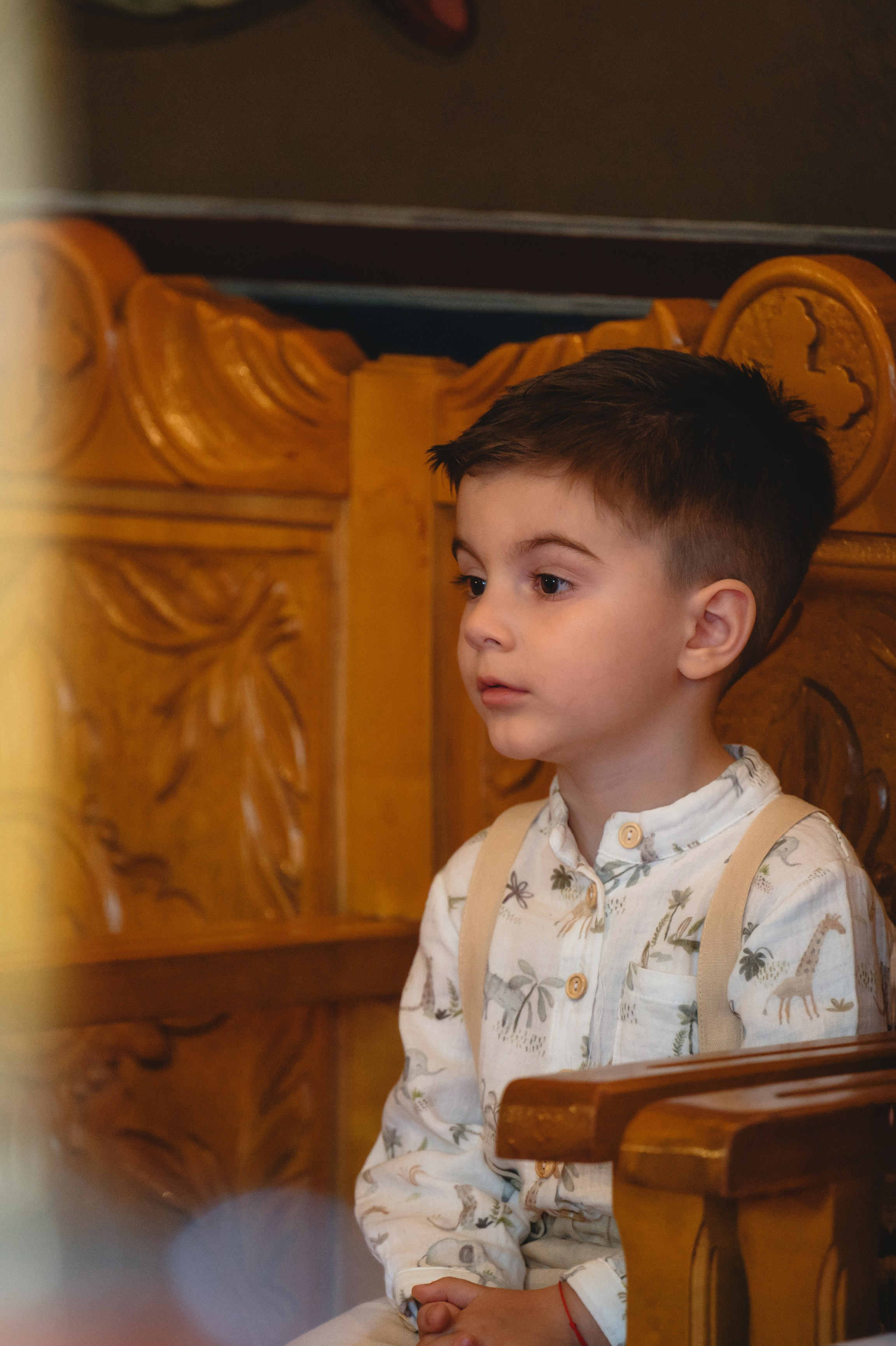 Povestea lui Vladimir. Laurentiu Stefan StoryTeller