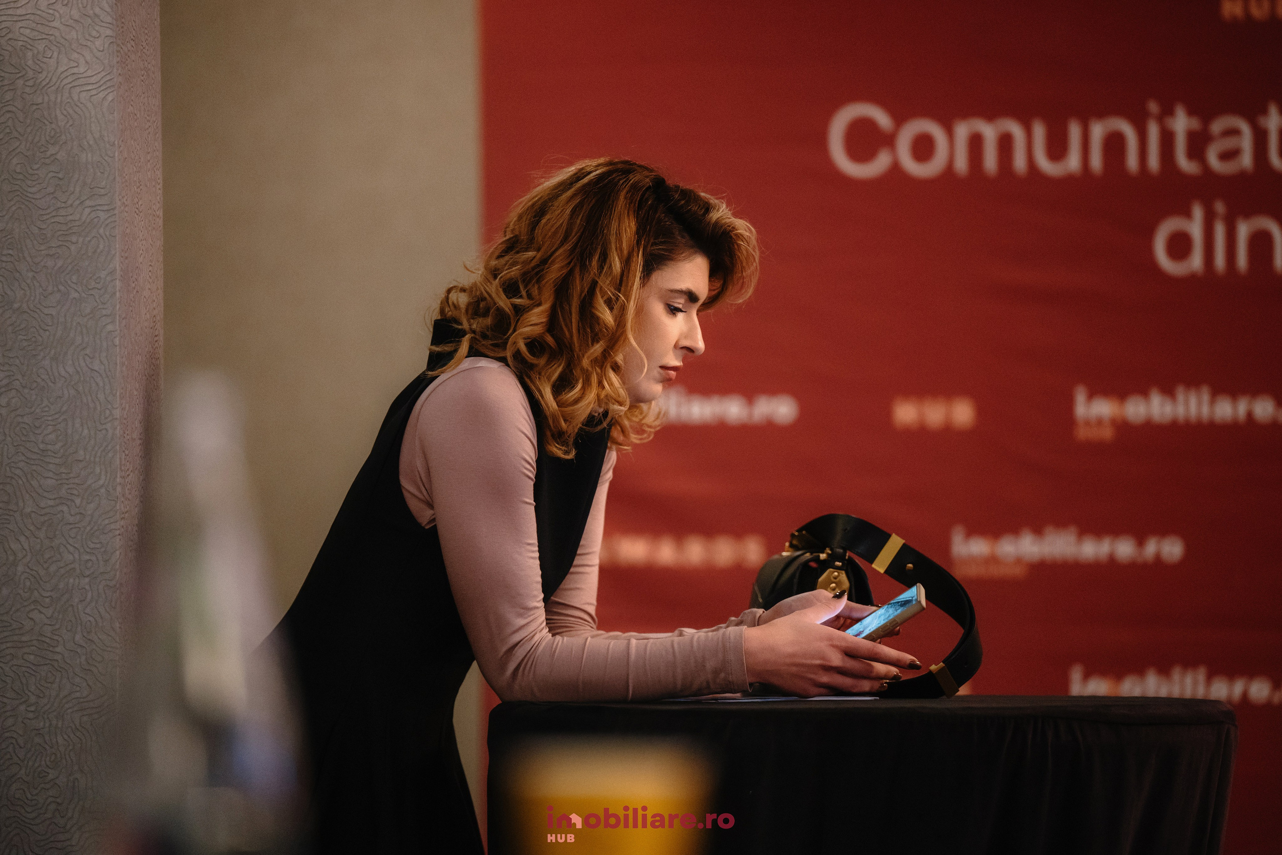 Imobliare HUB. Laurentiu Stefan StoryTeller