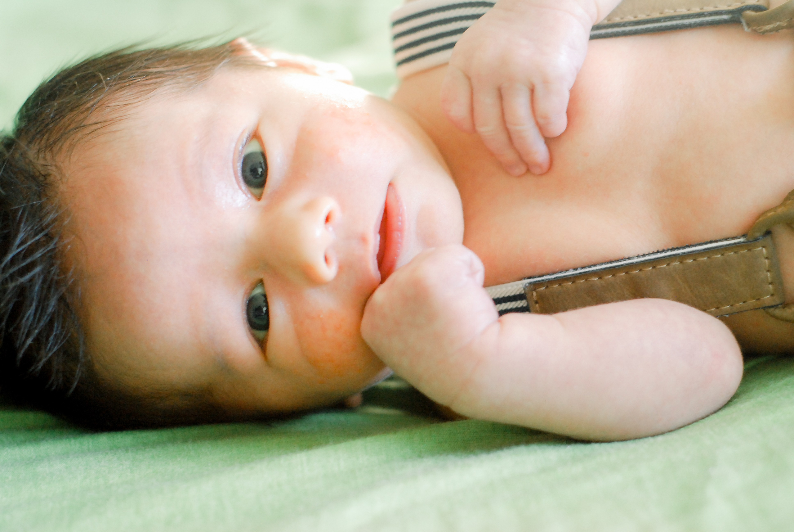 Family & Maternity. Wedding and family photographer in New England