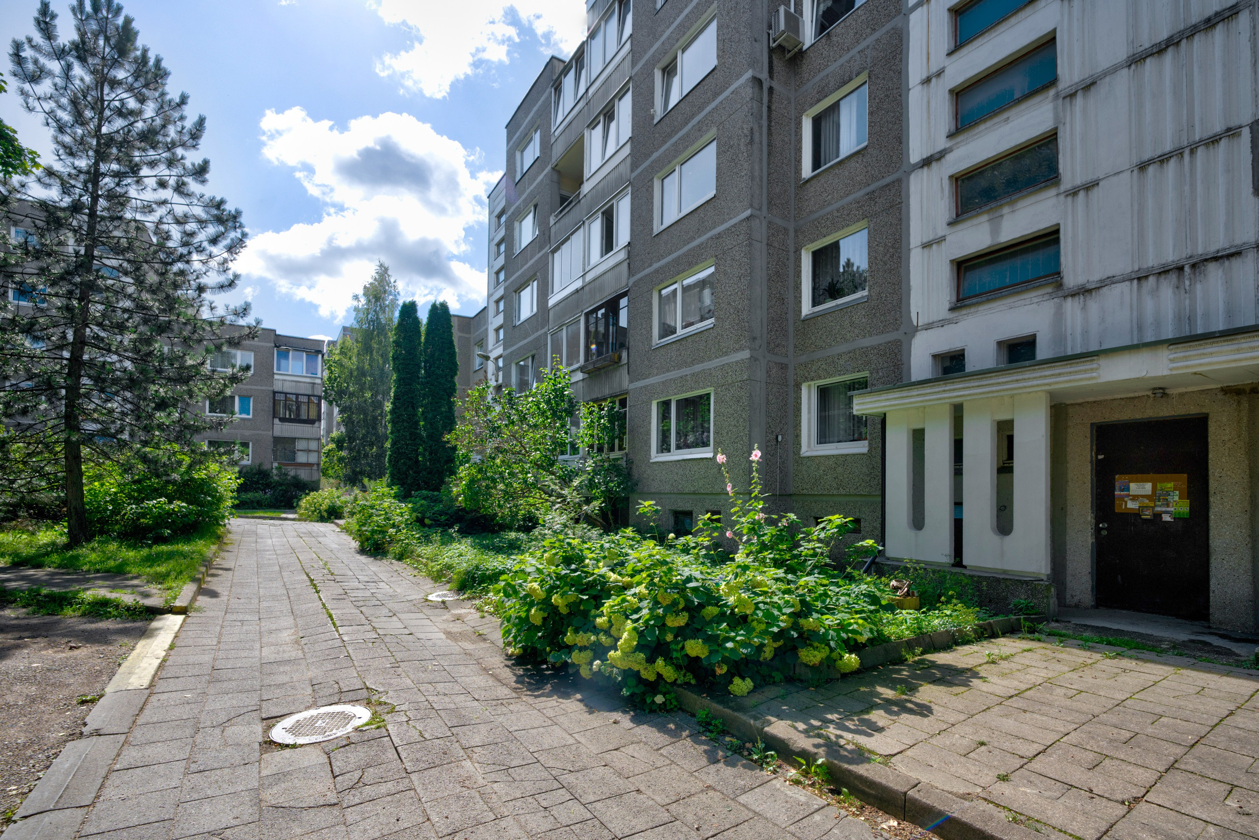 Gabijos g. Elina Sapiega fotografė Vilniuje