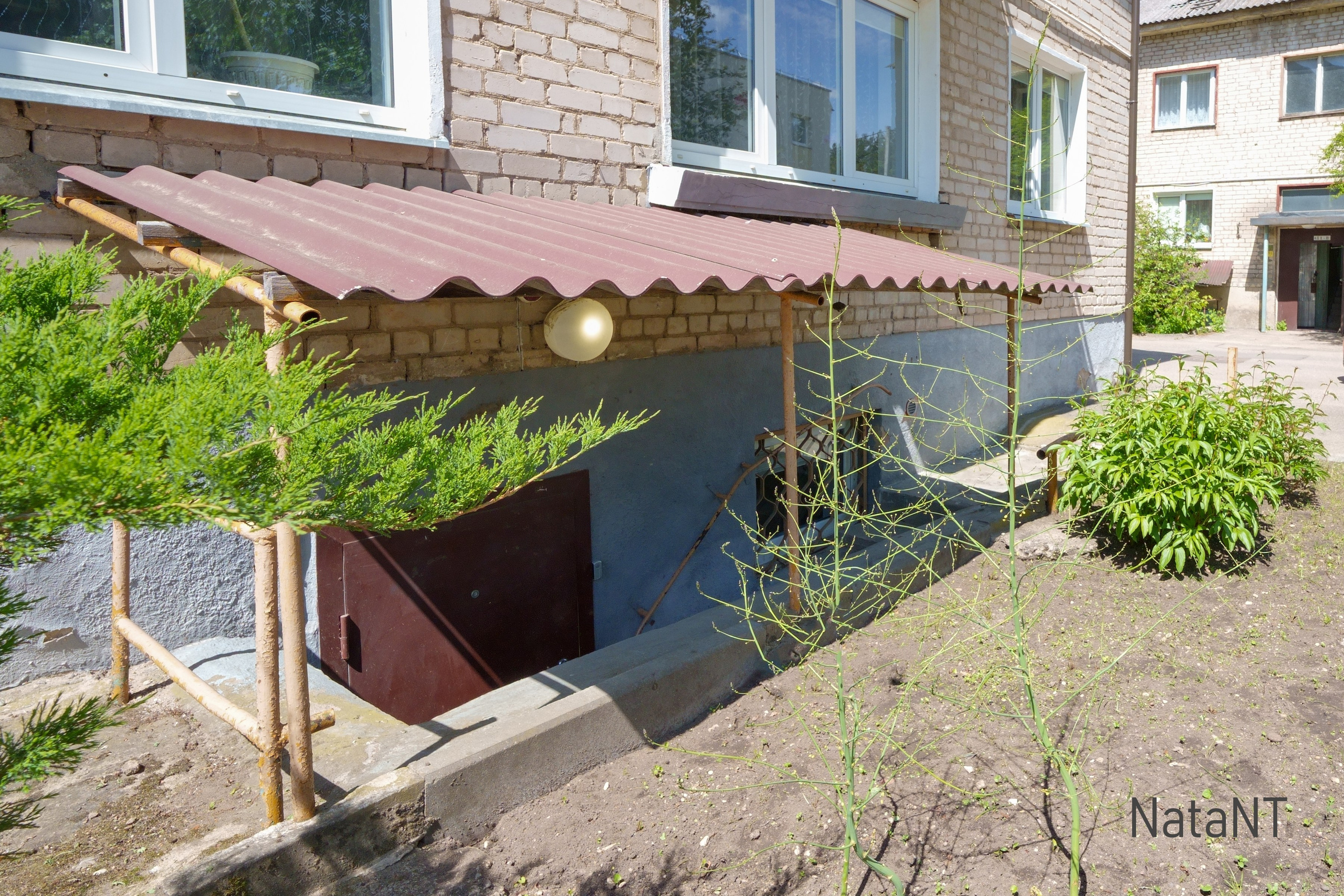 Grigiškės. Elina Sapiega fotografė Vilniuje