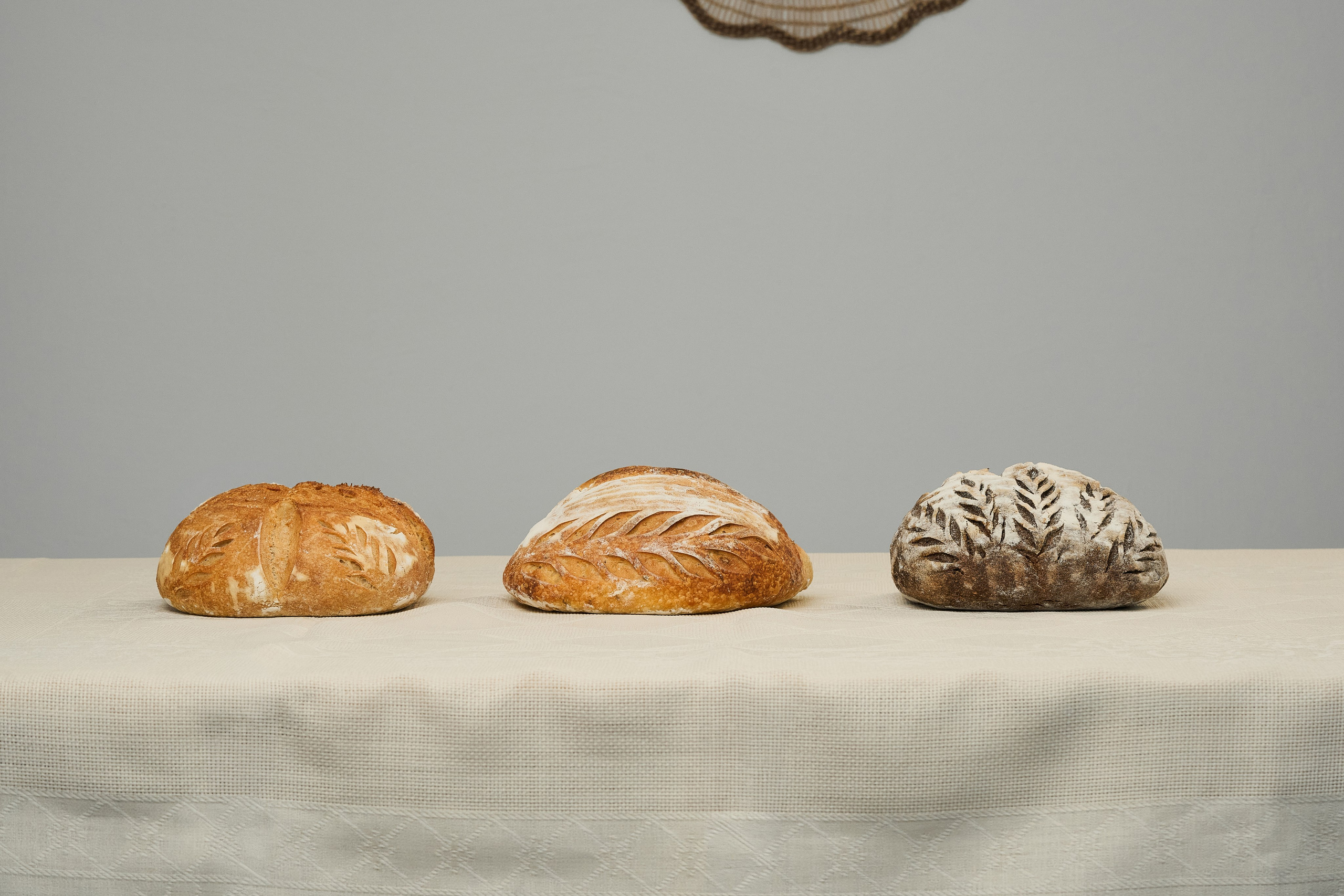 Panni bakery. Фотограф| Кишинев, Молдова