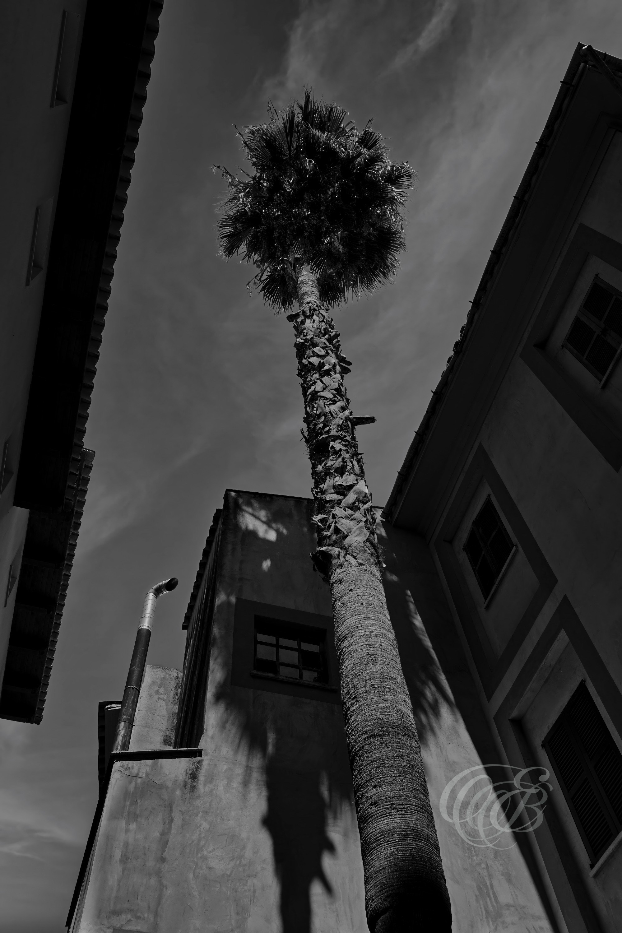 Carrer de la Mestra reflects the architectural character and everyday urban atmosphere found throughout many Mallorcan communities. This black and white fine art interpretation emphasizes the interplay of form, texture, and contrast within the streetscape, drawing attention to the visual relationships that shape the scene. The monochrome presentation creates a timeless perspective, highlighting elements of Mallorca’s built environment beyond the influence of color. Eduardo Bartoli Photography.