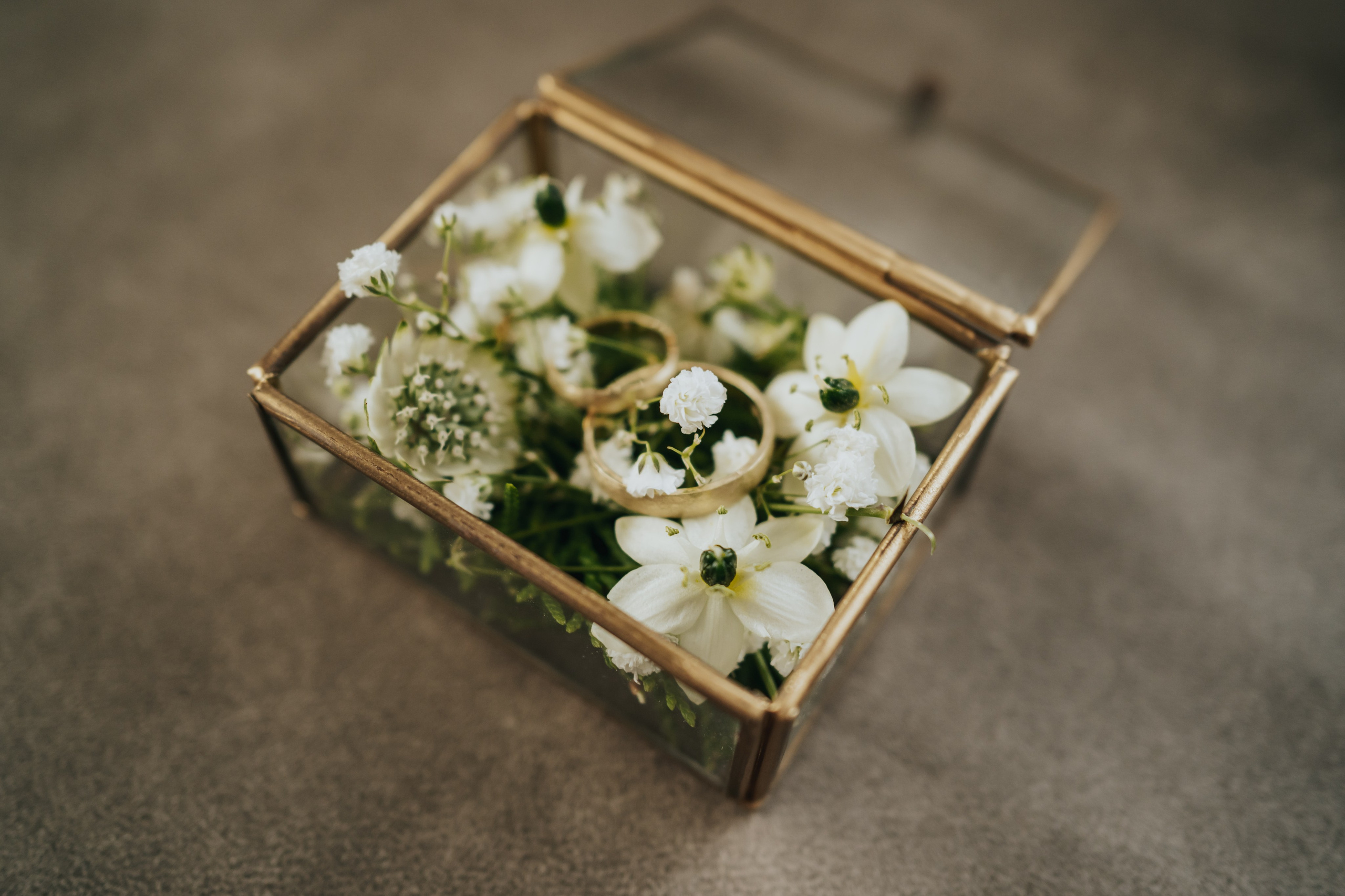 T & I. Fotograf Nunta Iasi - Hearts & Pictures