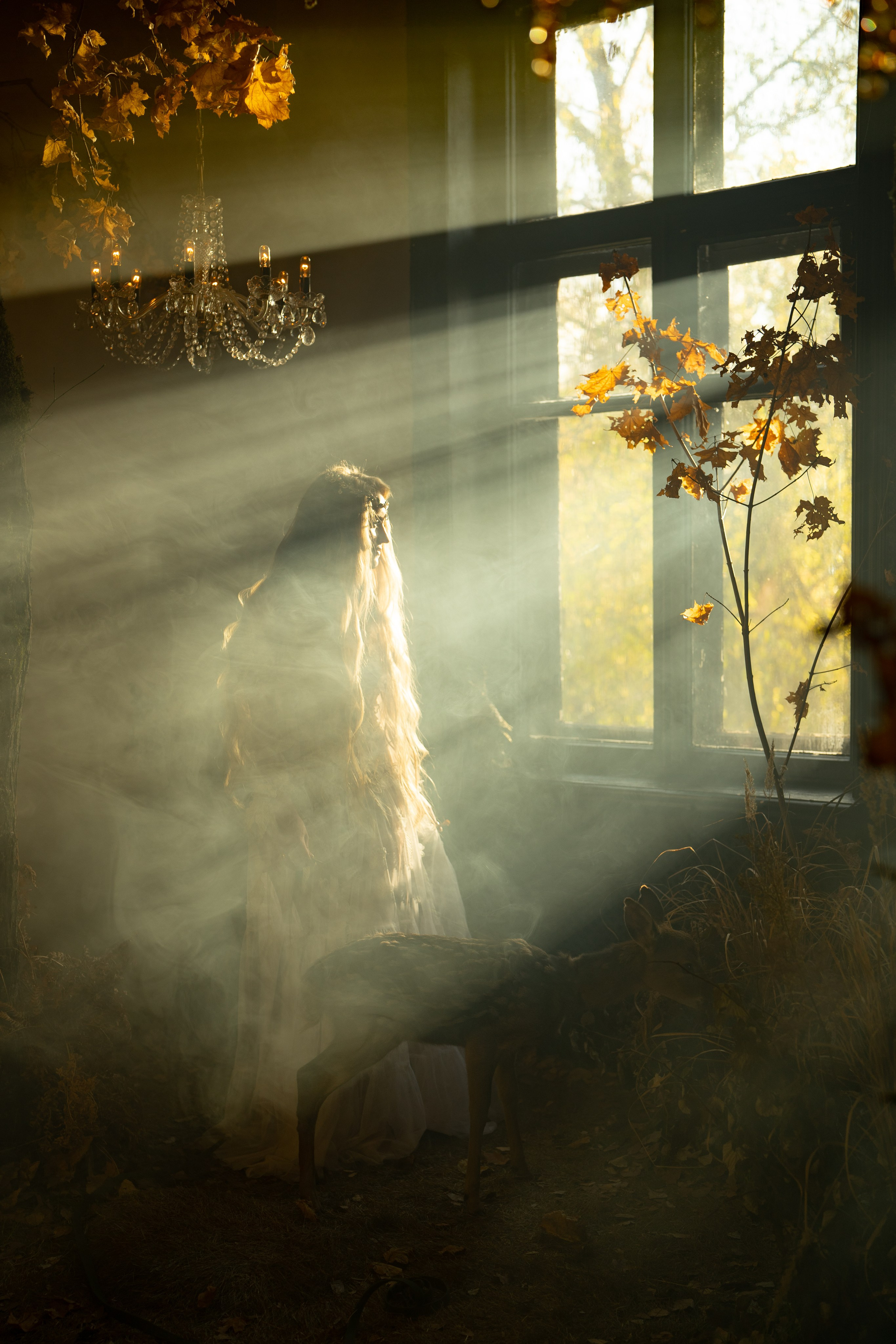 Нимфа в гламурном лесу. Ваш фотограф Tetiana Kolos, найду самый удачный ракурс и словлю момент