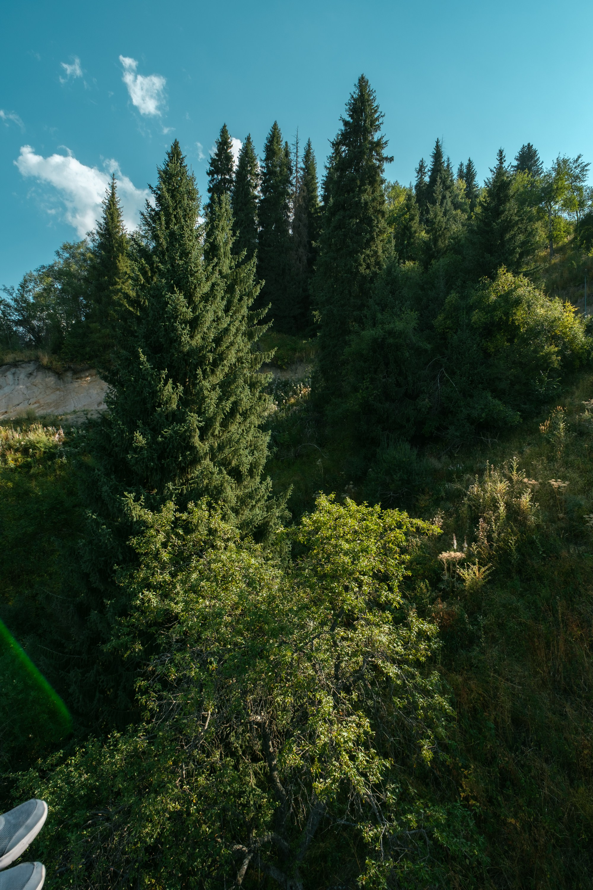 Sigma 12 mm F/1.4 DC DN Contemporary. Фотограф Григорий Кравец