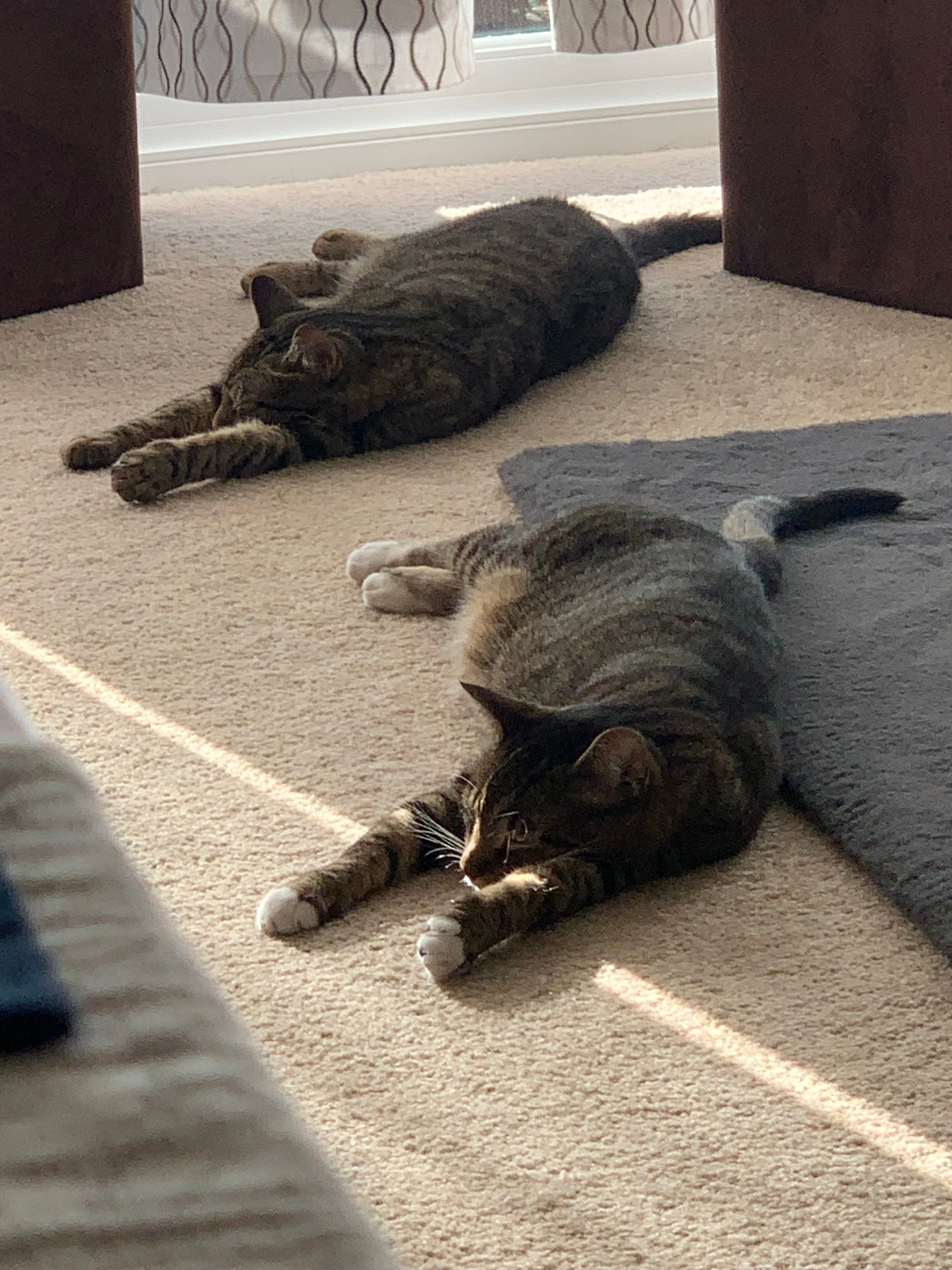 Lens work from the field 10