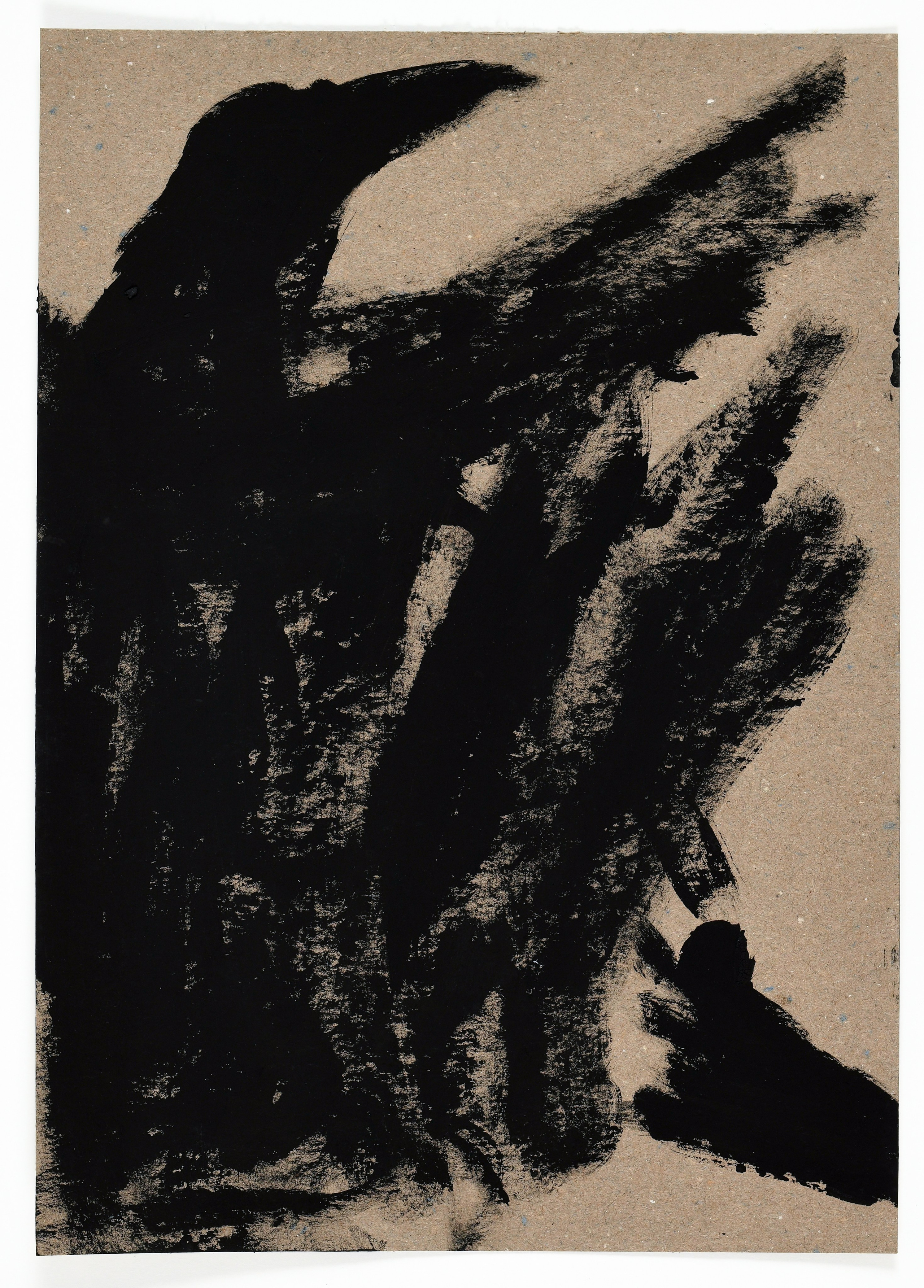 Birds and rats, 2020. Haim Sokol’s artists website