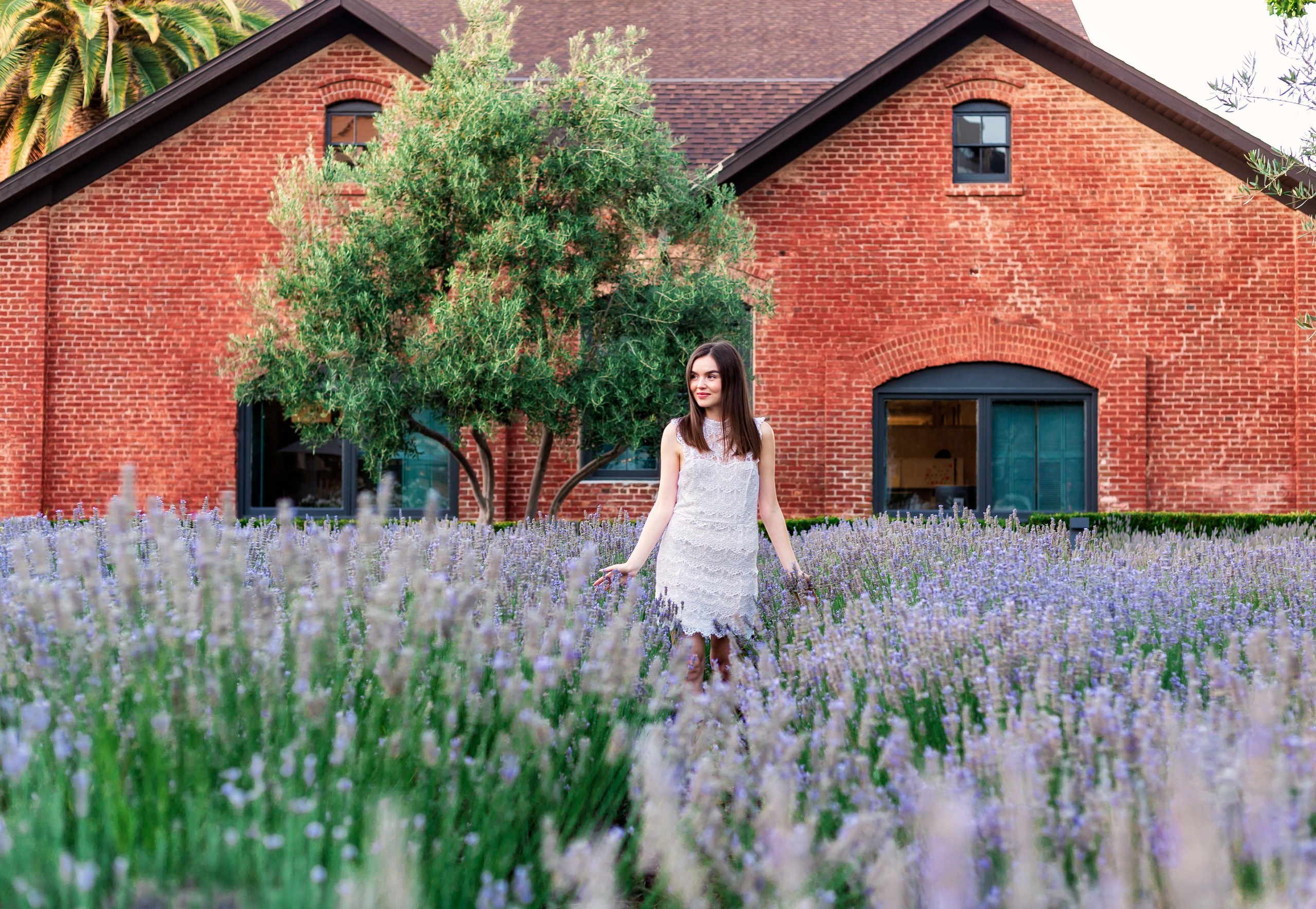 Lavender Photoshoot. Los Angeles portrait photographer Valeria Kasatkina