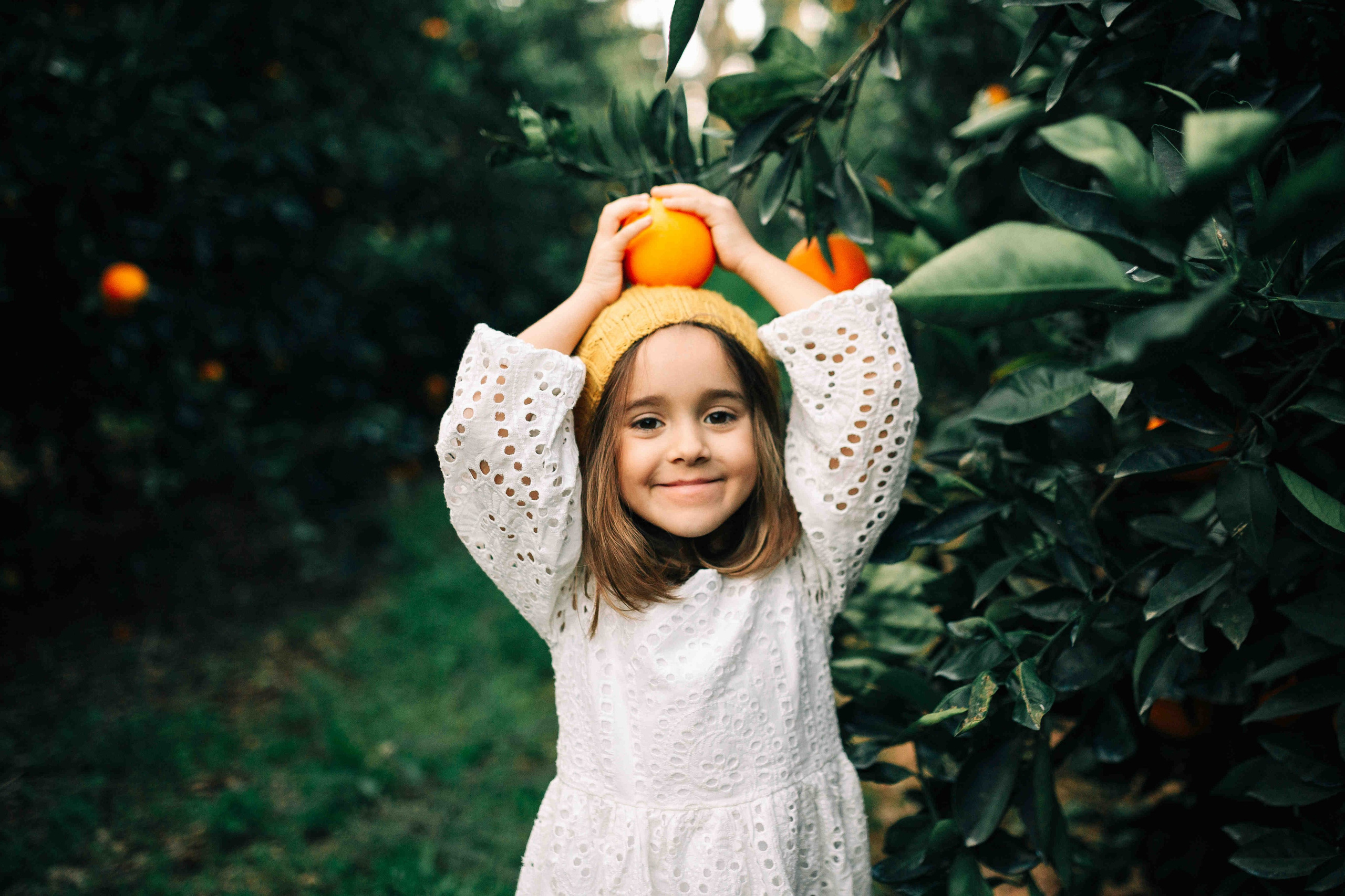 MANDARNINE GARDEN. Https://shi-photo.com/