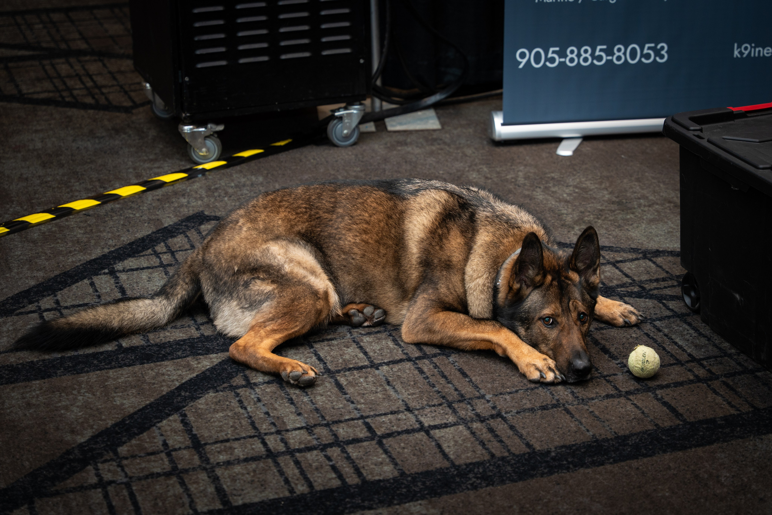 OACP & BLUELINE EXPO 2026. Corporate Photo and Video | Canada