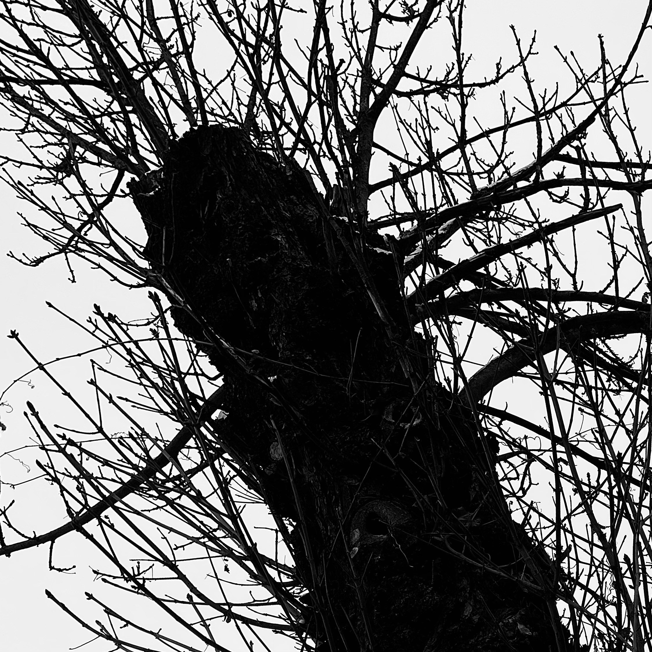 ART. Alexandru Raileanu