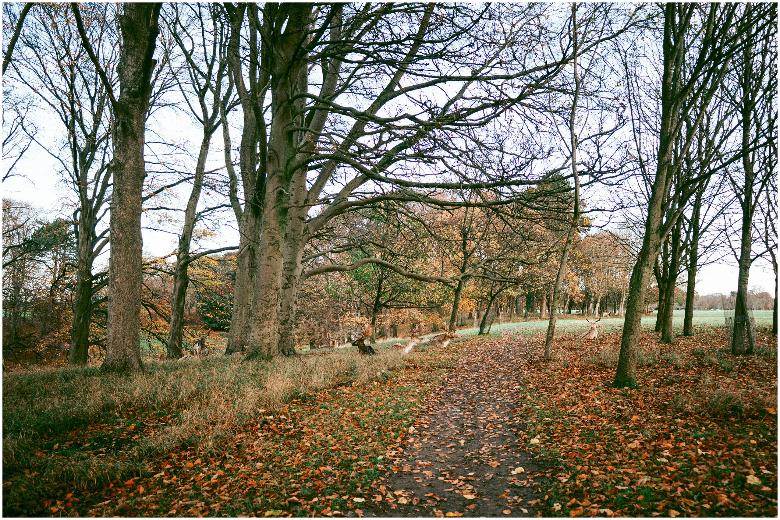 IRELAND. Inna Mendelson — Photographer