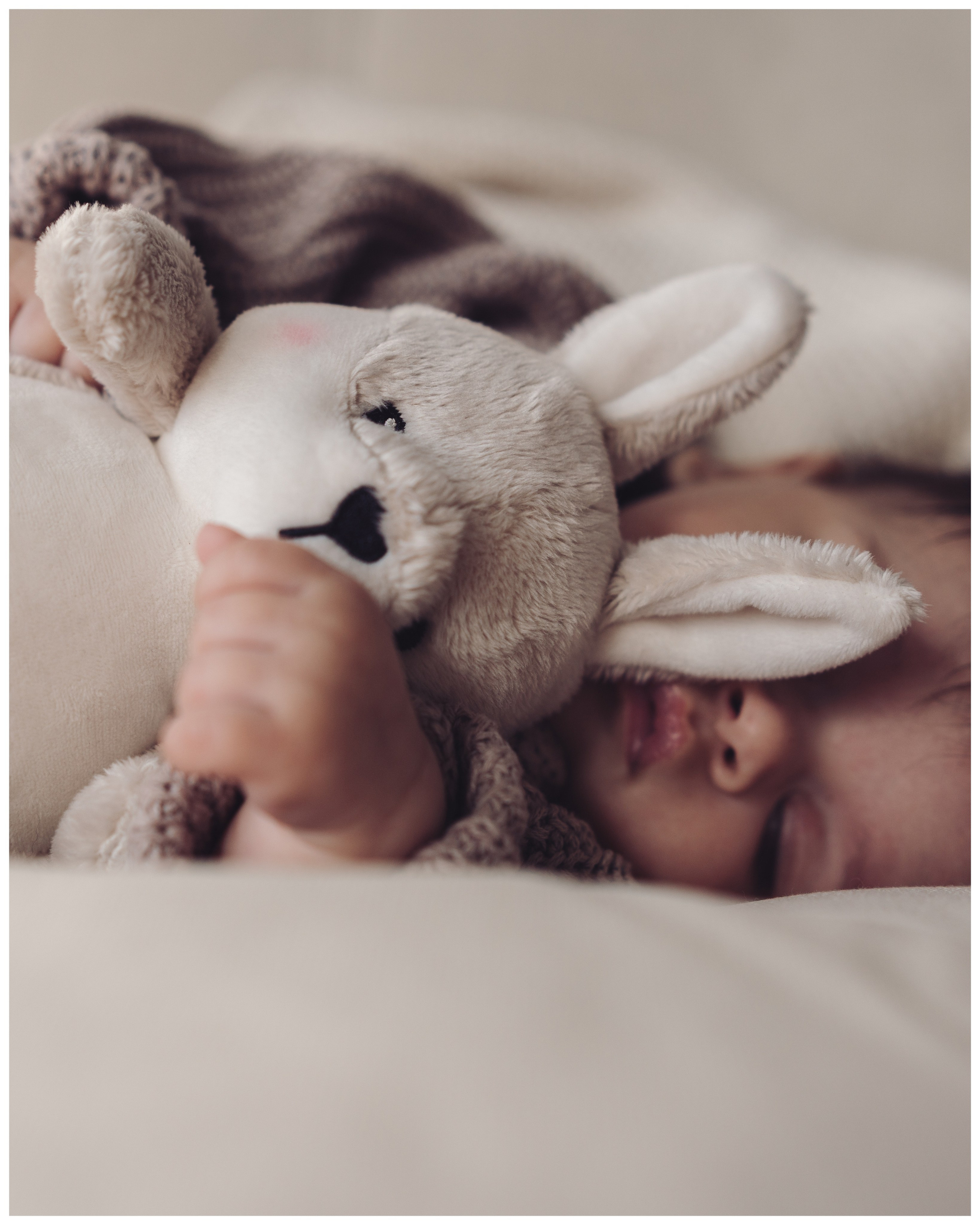 Welcome to the World. Dash_photopic.I’m Daria New York based photographer