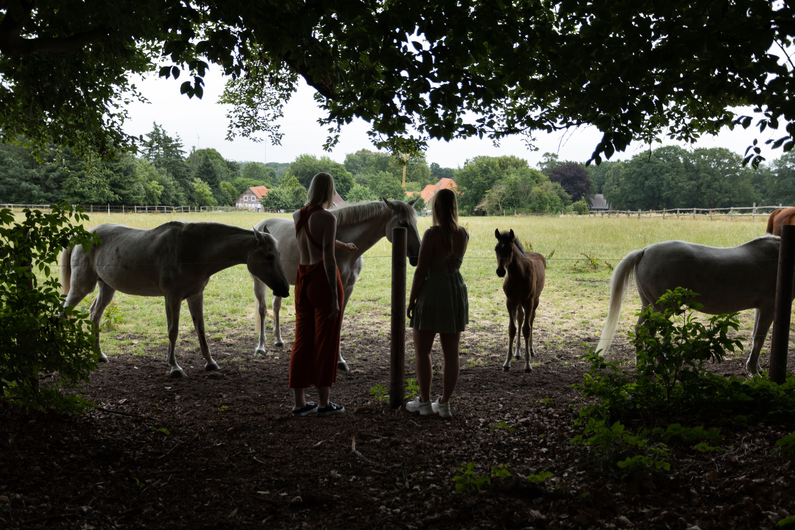 WAS BIETE ICH AN?. Fotografin und Videografin im Raum Osnabrück und Emsland Alla
