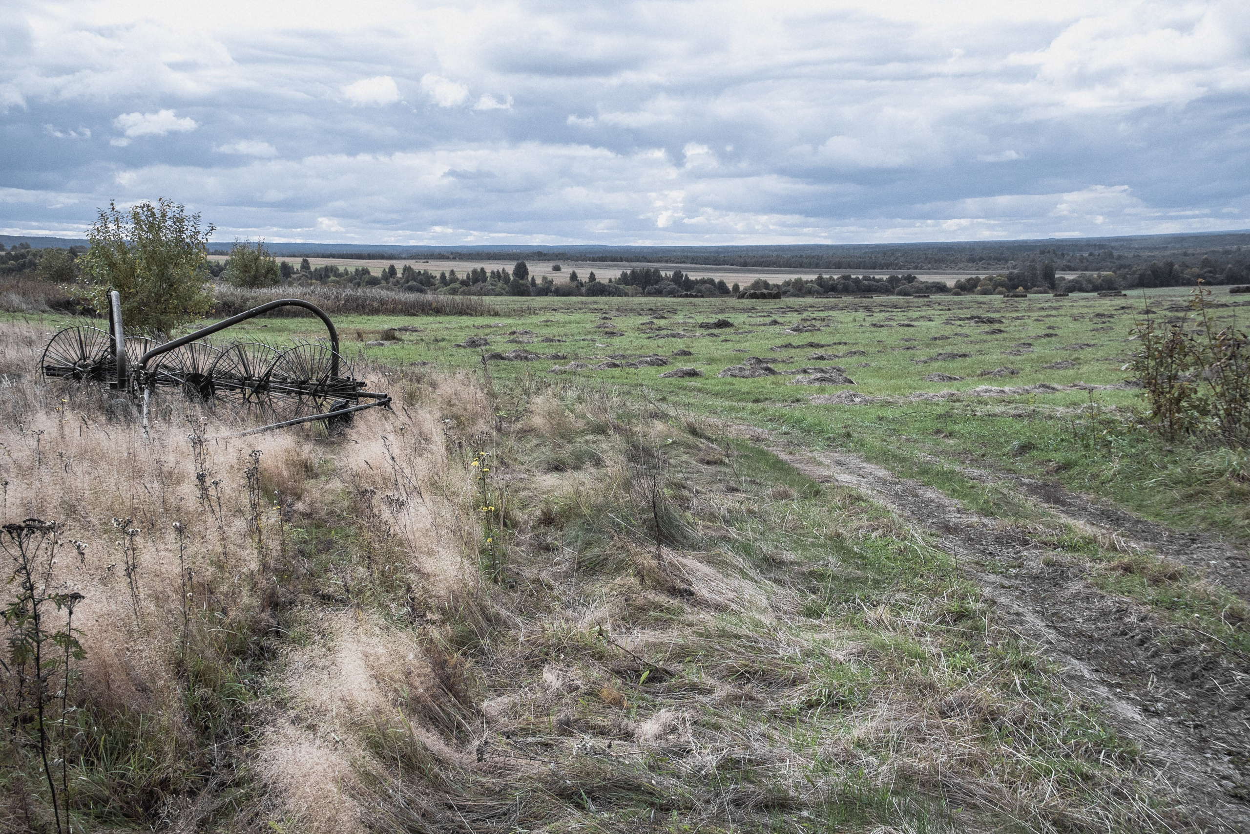 Verlassenes Russland: Manturowo im Gebiet Kostroma. Maria Chistyakovа — Fotografin in Karlsruhe, Baden-Baden und Umgebung