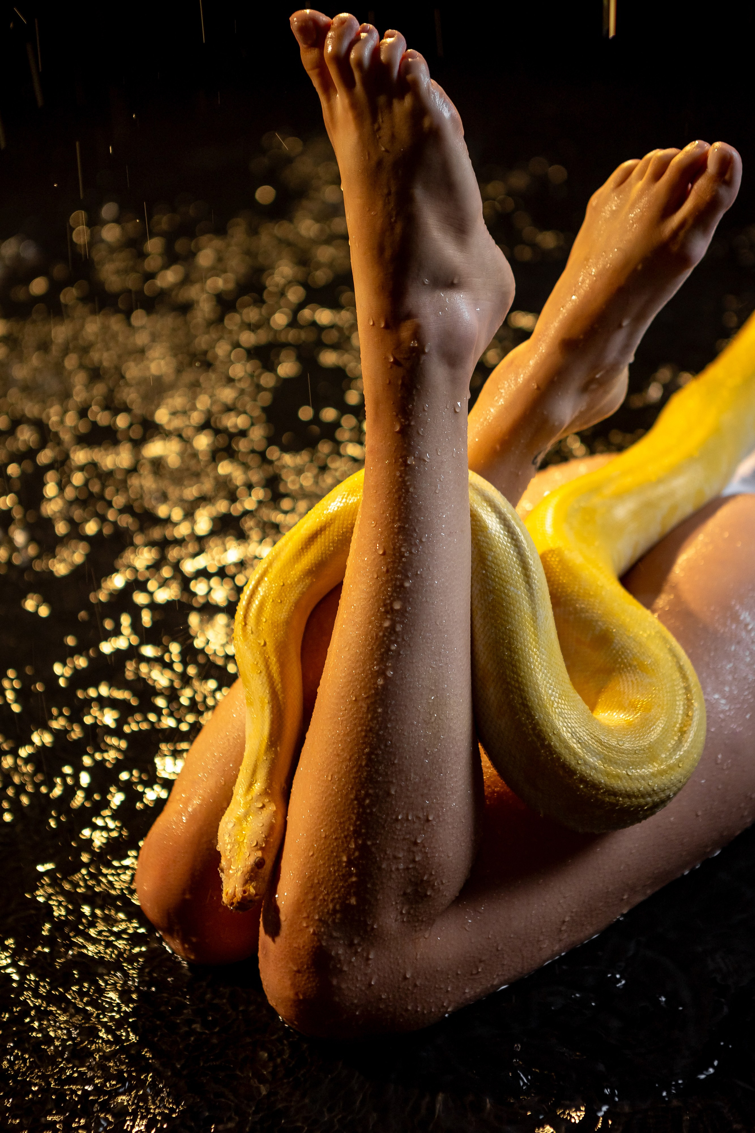 Аквазона в студии. Фотограф в Анталии, Кемере и Белеке