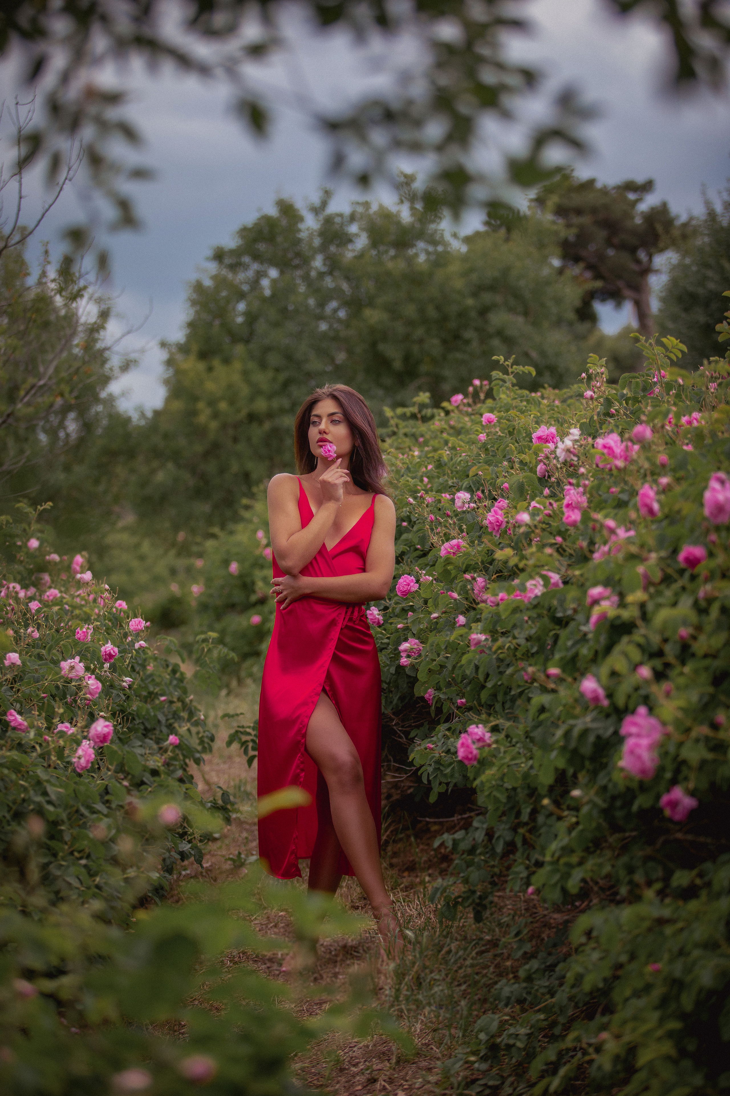 Фотосессия брюнетки в красном платье.Розовы поля в Турции. Цветочные поля в Турции. Где в Турции выращивают розы? Когда цветут розы? Розовые сады в Ыспарте. Экскурсия на розовые поля. Фотограф в Анталии. Фотограф в Турции. Фотограф в Белеке. Фотограф в Алании. Фотограф Аланья. Фотограф Анталья. Фотограф Белек. Фотограф Турция. Фотограф Каш. Фотограф Бодрум.