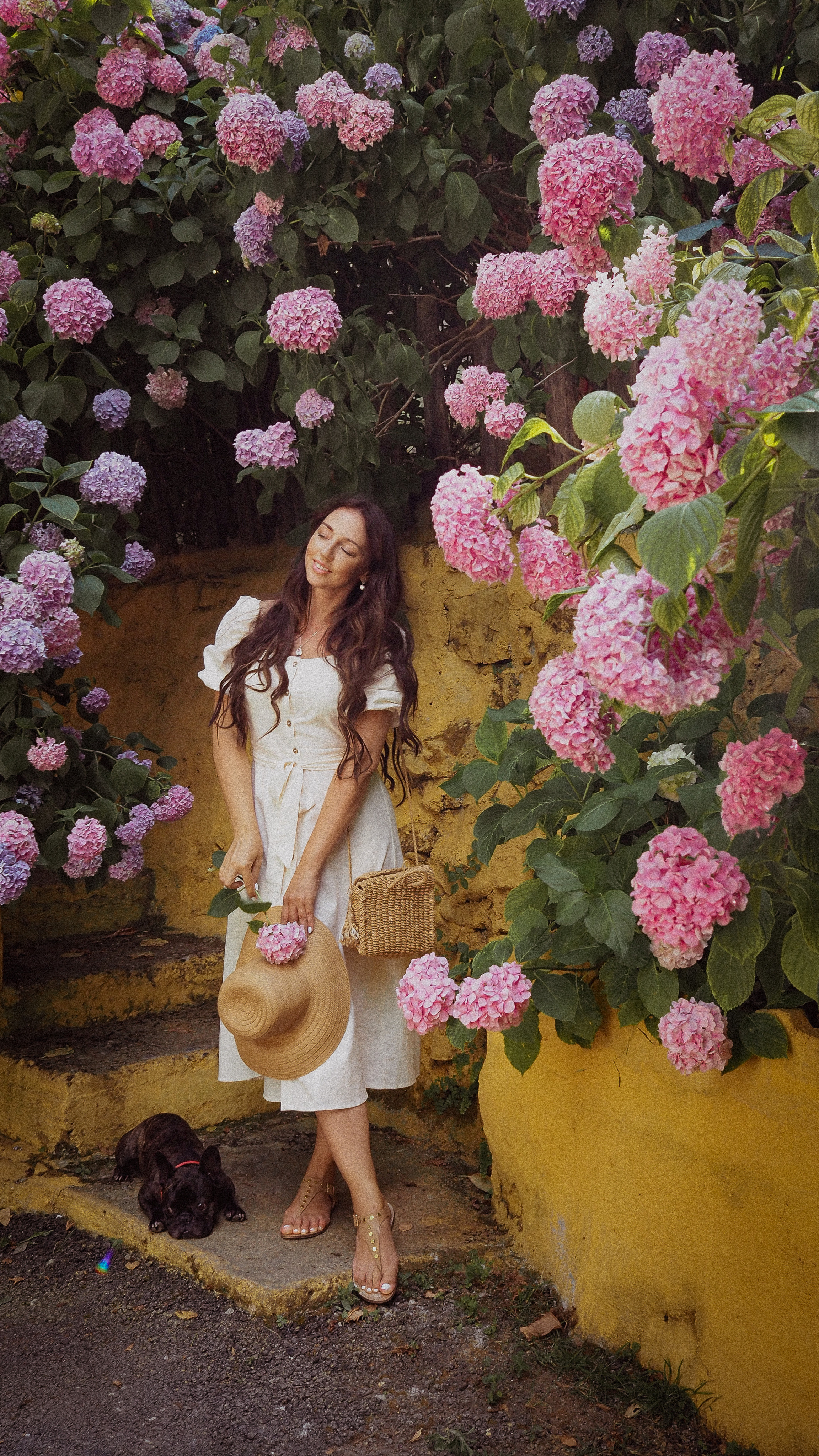 Цветение Гортензии. Фотограф в Турции | Алания, Сиде, Белек, Анталия, Кемер)