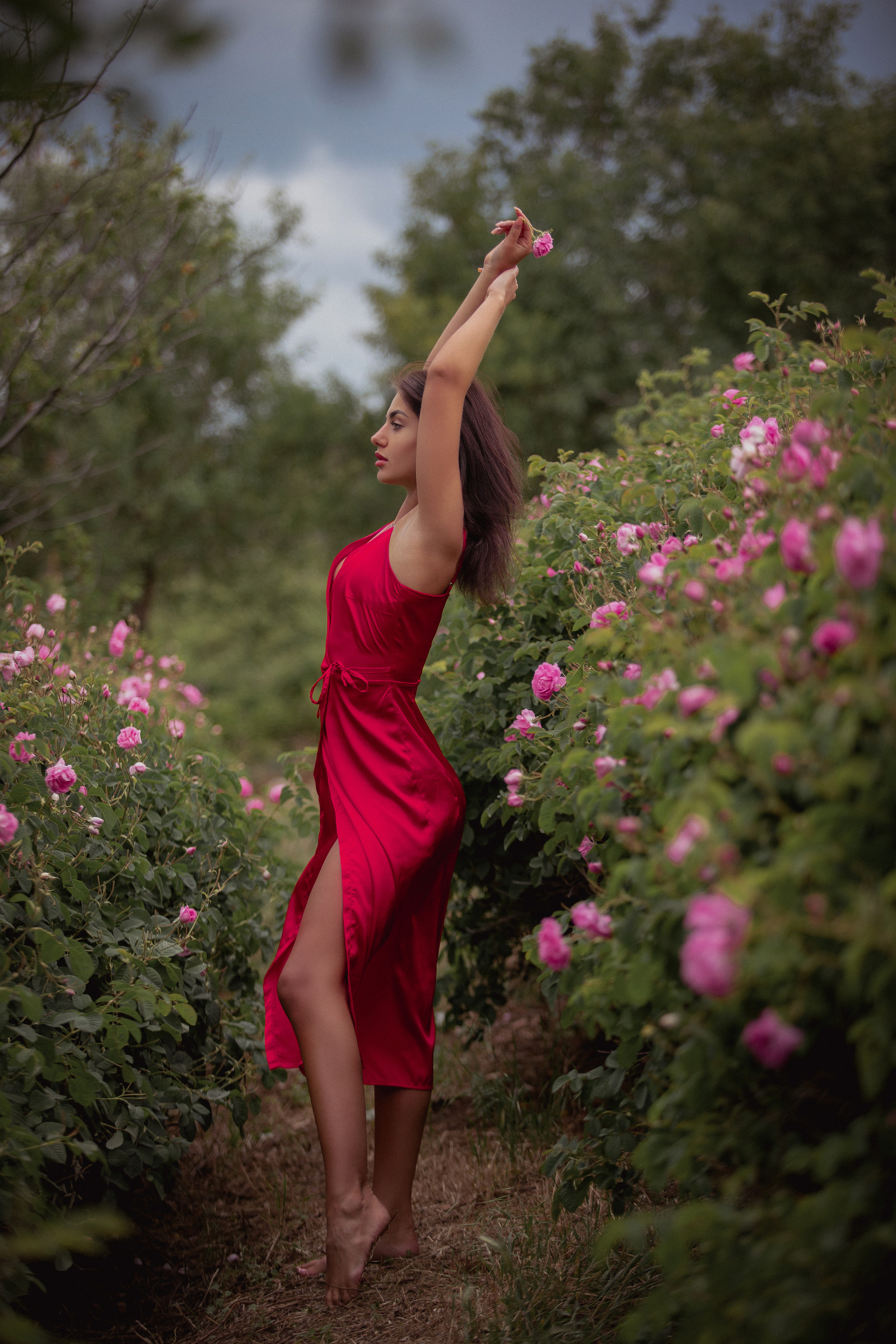 Розовое поле, дамские розы, фотосессия в розовых полях.Розовы поля в Турции. Цветочные поля в Турции. Где в Турции выращивают розы? Когда цветут розы? Розовые сады в Ыспарте. Экскурсия на розовые поля. Фотограф в Анталии. Фотограф в Турции. Фотограф в Белеке. Фотограф в Алании. Фотограф Аланья. Фотограф Анталья. Фотограф Белек. Фотограф Турция. Фотограф Каш. Фотограф Бодрум.