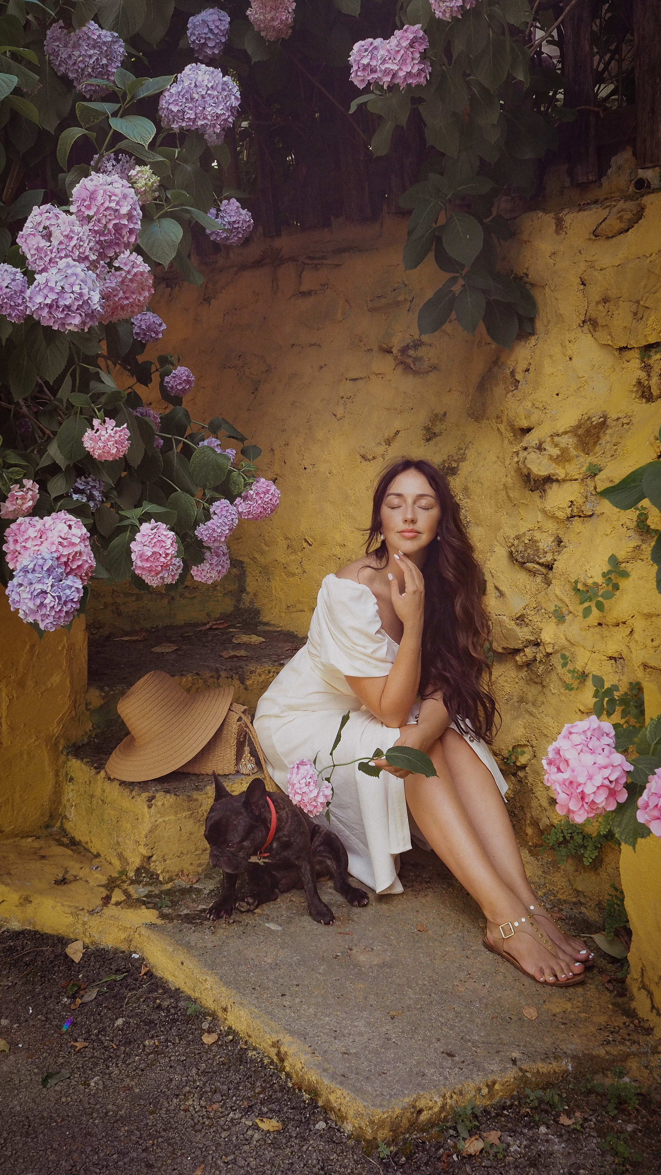 Цветение Гортензии. Фотограф в Турции | Алания, Сиде, Белек, Анталия, Кемер)