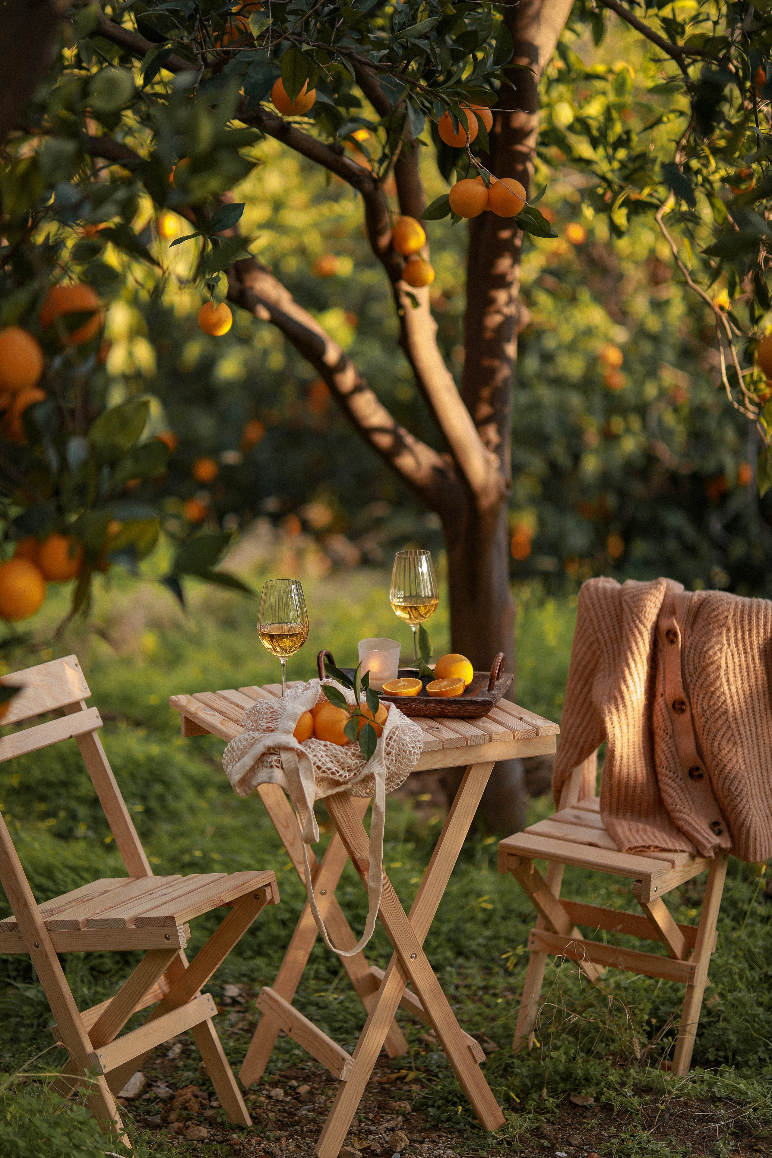Пикник в апельсиновых садах. Апельсиновое дерево. Апельсиновые сады. Пикник на природе. Picnic. Фотосессия в апельсиновом саду. Цветение в Турции. Что цветет в Турции. Фотограф в Алании. Фотограф в Белек. Фотограф в Анталии. Фотограф в Турции. фотограф , Турция, Анталия, Белек, Сиде, Кемер, фотосессия, апельсиновый сад. 