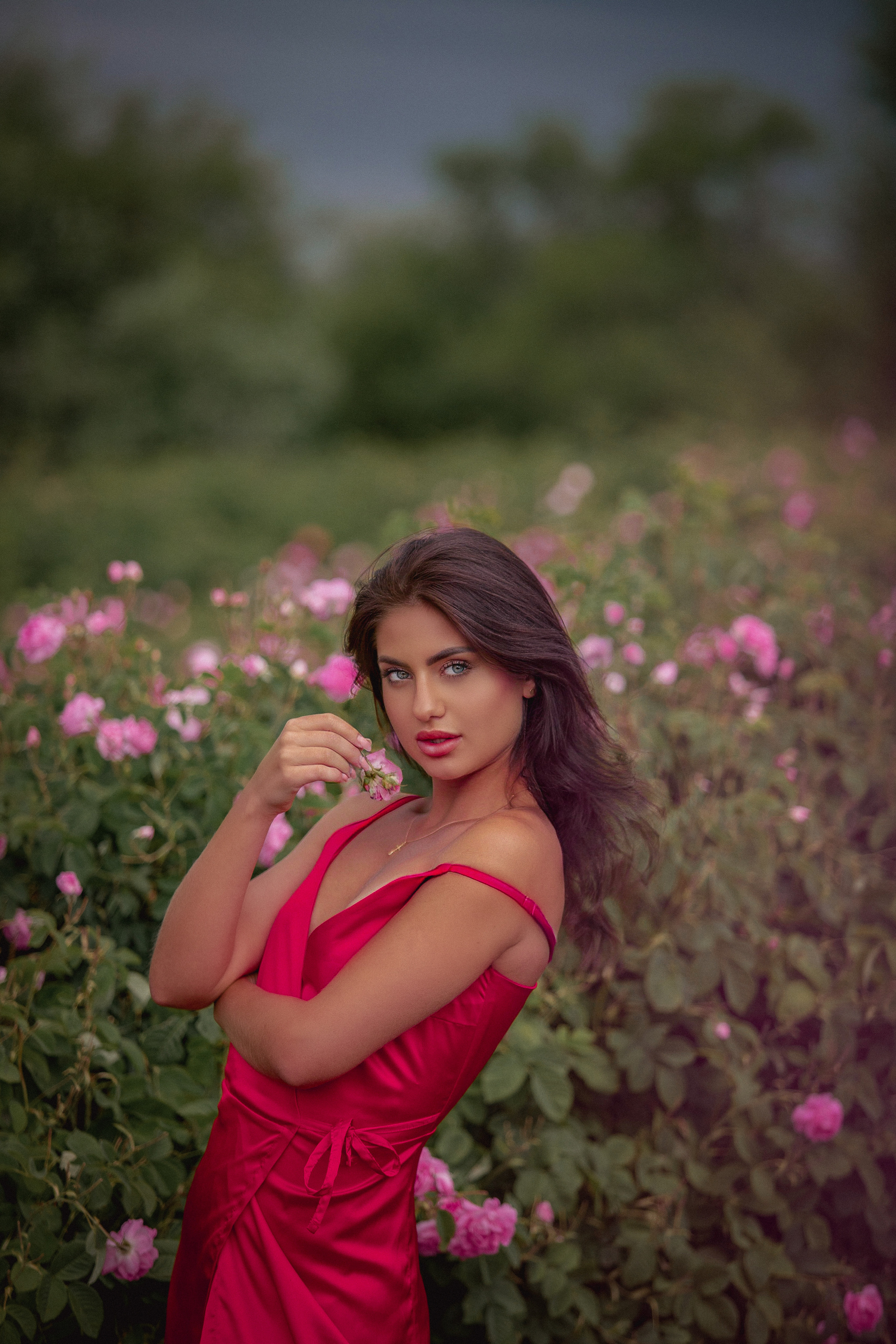 Фотосессия девушки с розами.Розовы поля в Турции. Цветочные поля в Турции. Где в Турции выращивают розы? Когда цветут розы? Розовые сады в Ыспарте. Экскурсия на розовые поля. Фотограф в Анталии. Фотограф в Турции. Фотограф в Белеке. Фотограф в Алании. Фотограф Аланья. Фотограф Анталья. Фотограф Белек. Фотограф Турция. Фотограф Каш. Фотограф Бодрум.
