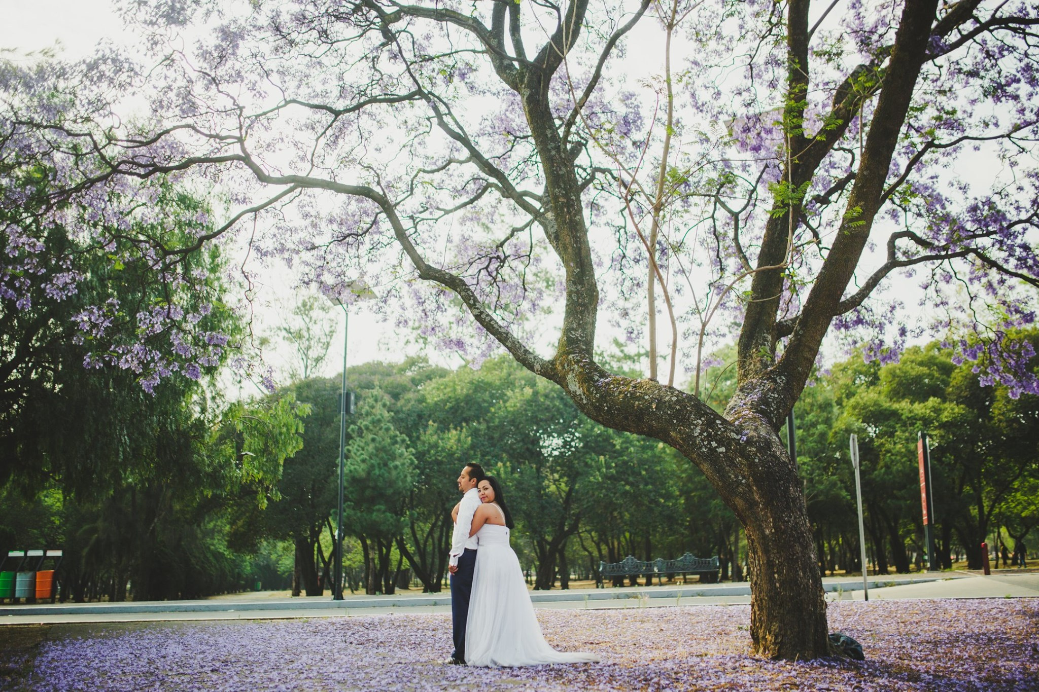 Ale & Braulio. Wedding and family photographer in Mexico City
