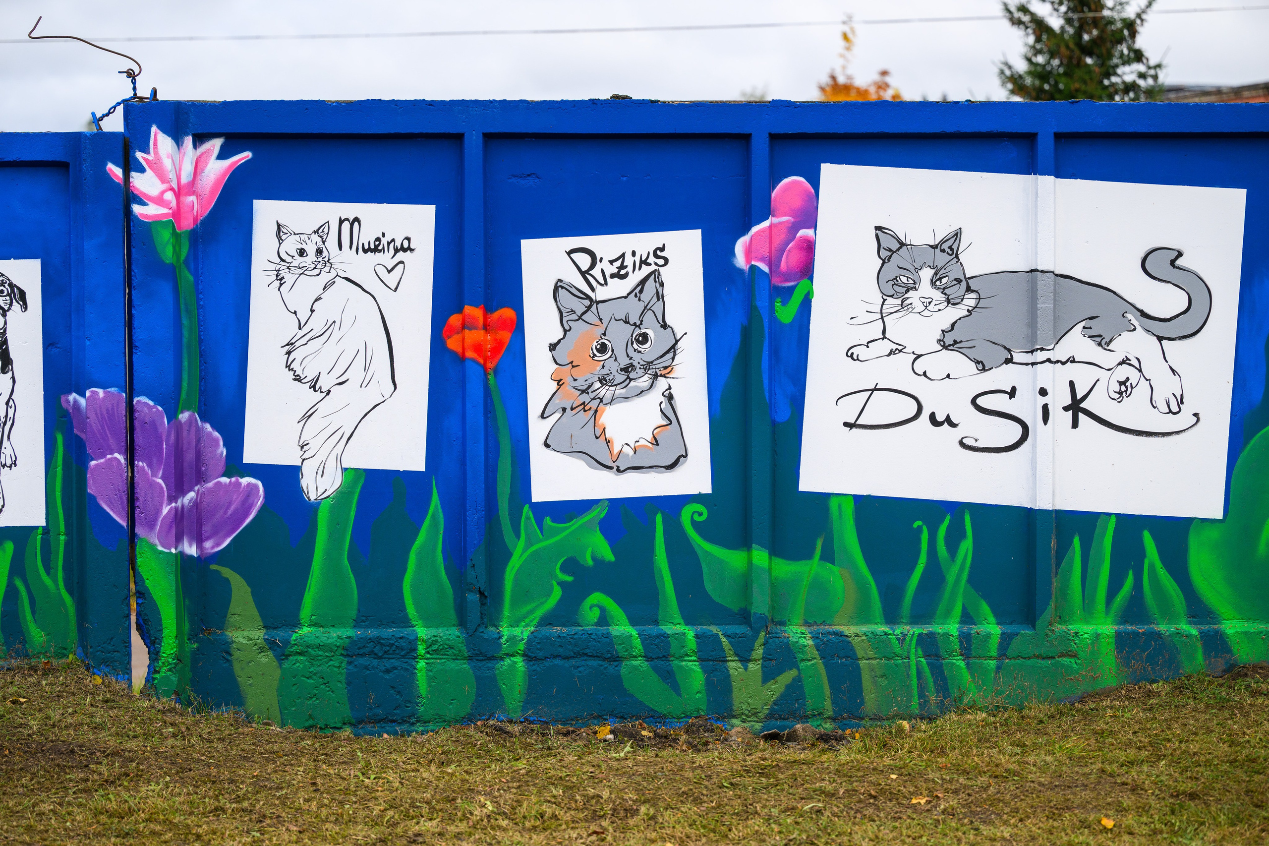 Rēzeknes dzīvnieku patversmes izglesnotās sienas atklāšana. Ritvars Pujats Emotion Photographer