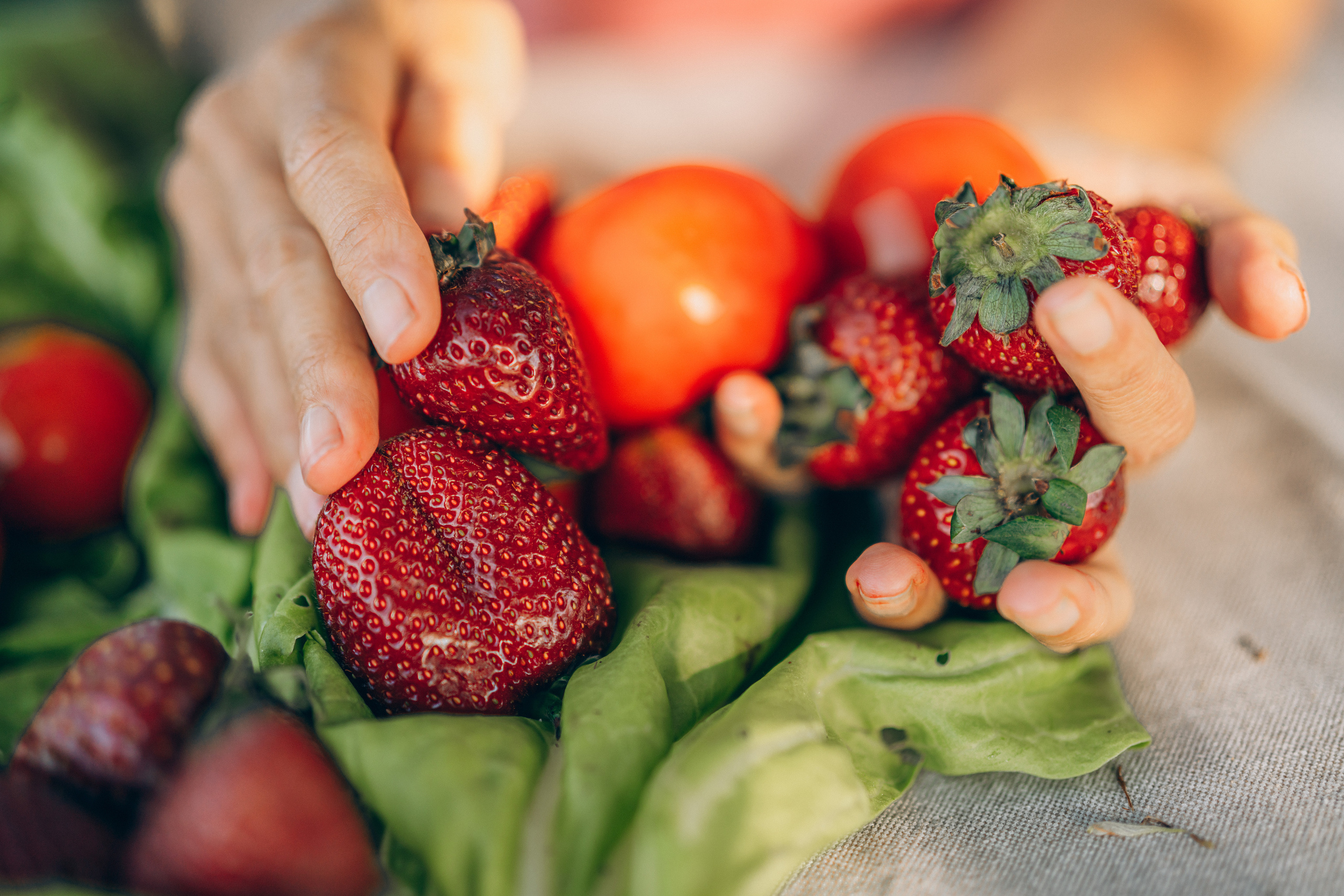 Mallorca lifestyle photography. Photographer in Mallorca