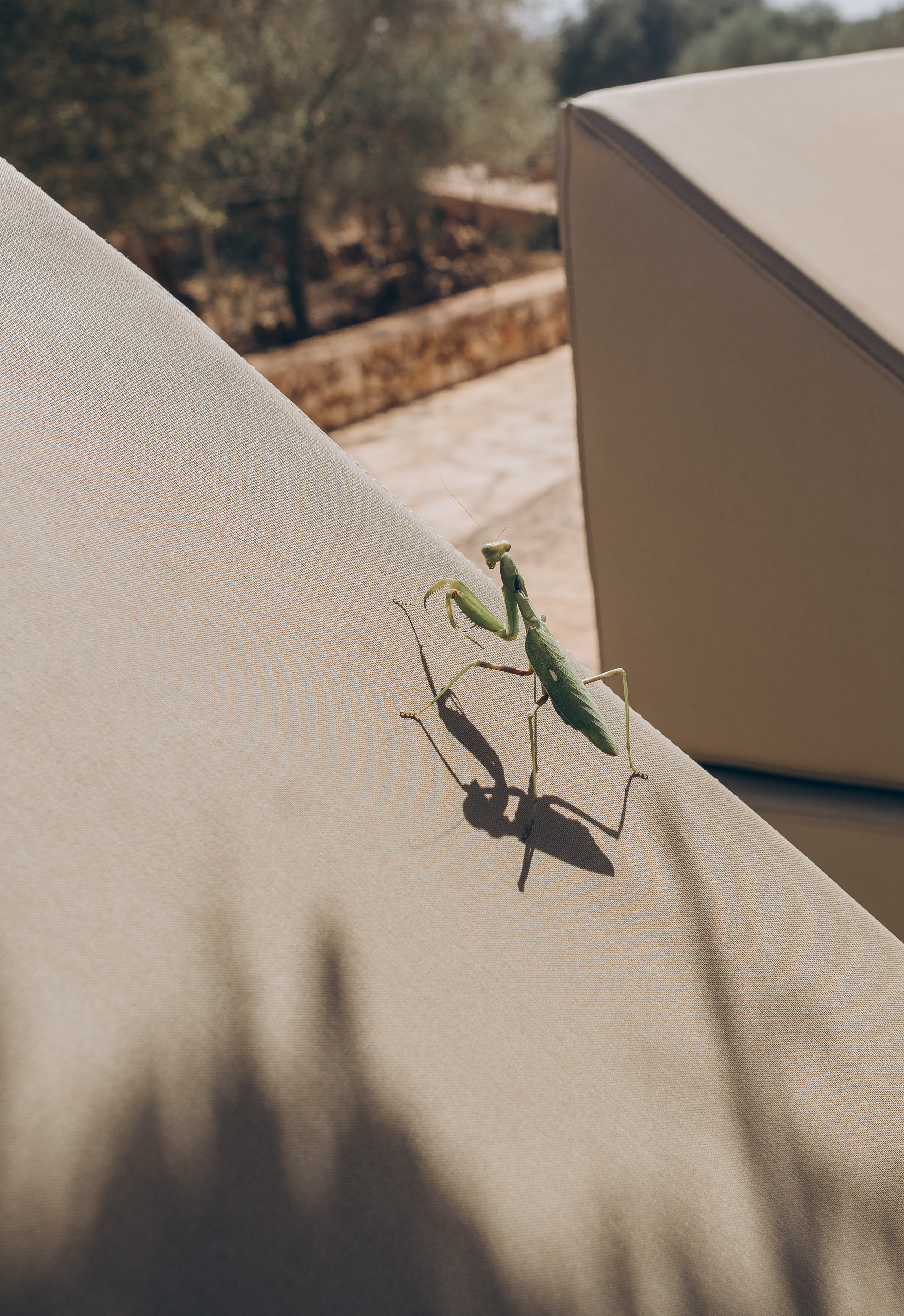 The sacrament is a family holiday. Фотограф у Пальма де Майорка