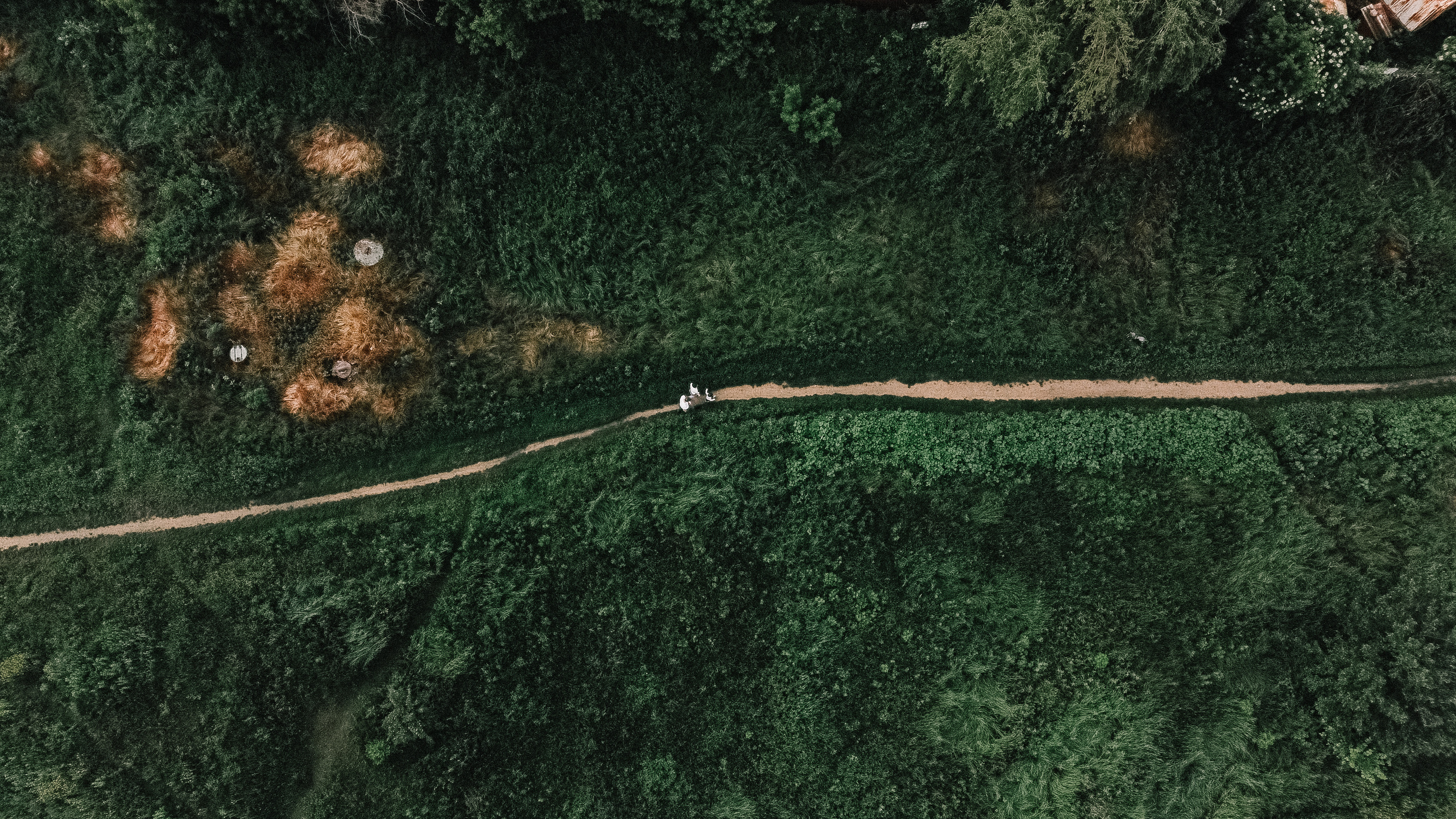 Family memories: at home and in nature. Фотограф у Пальма де Майорка