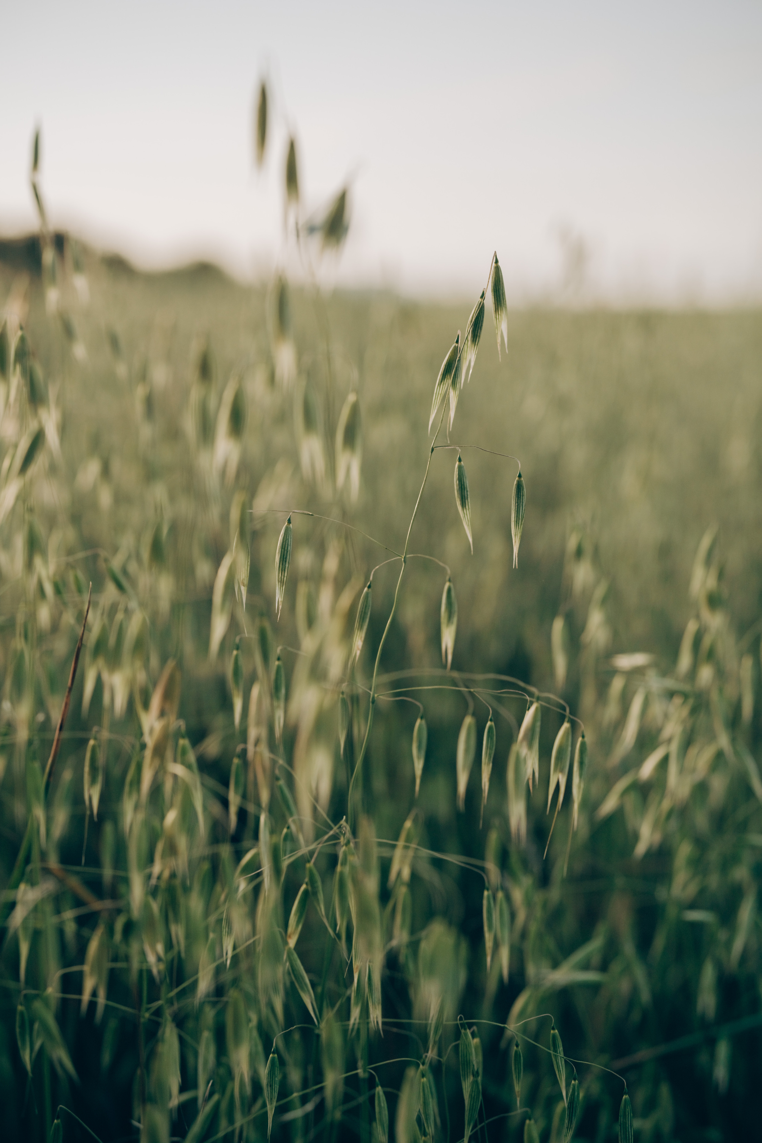 Mallorca lifestyle photography. Photographer in Mallorca